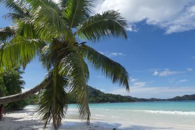 Die Hochzeitsreise unserer Träume auf den Seychellen