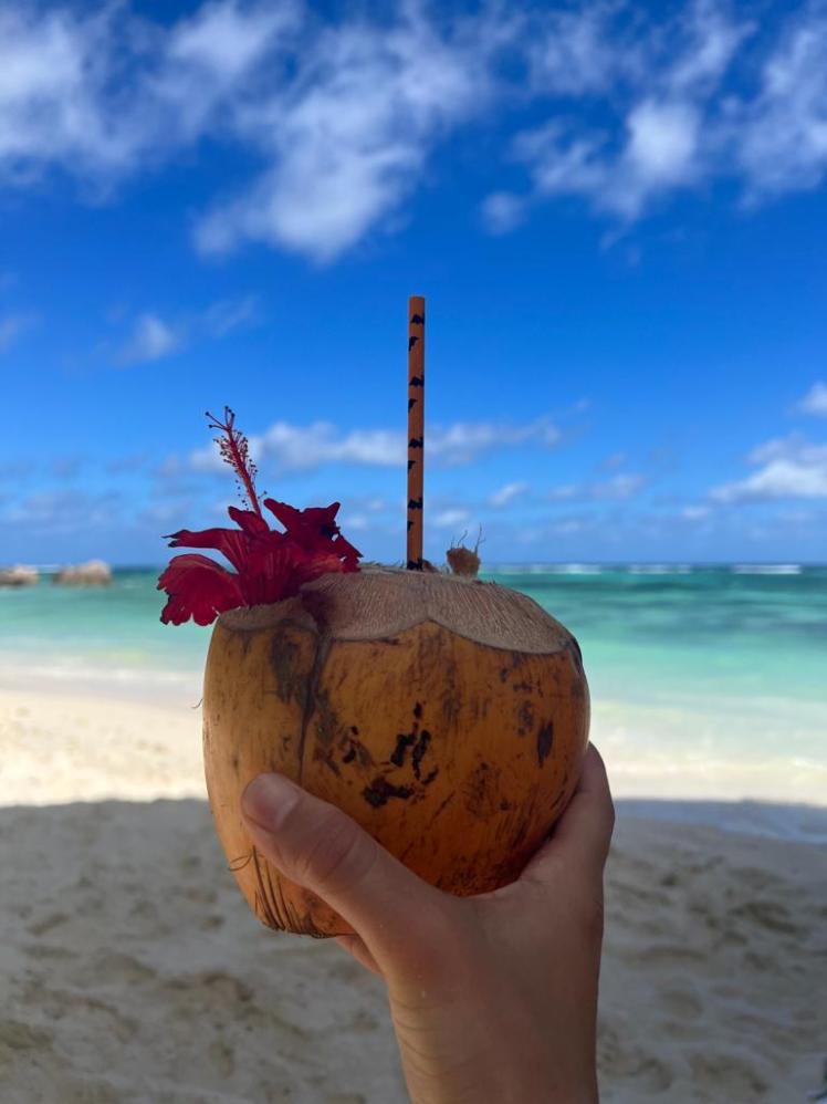 Frische Kokosnuss auf dem Strand Anse Source D'Argent