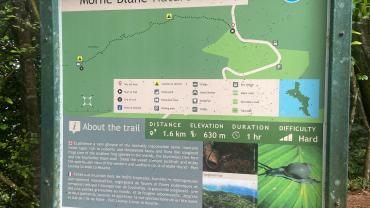 Morne Blanc Trail