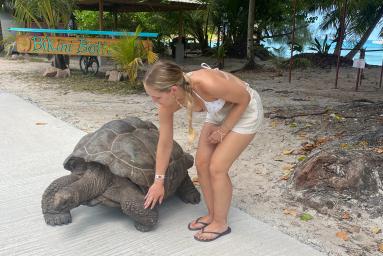 Traumhafte Seychellen: Eine Reise durch das Paradies