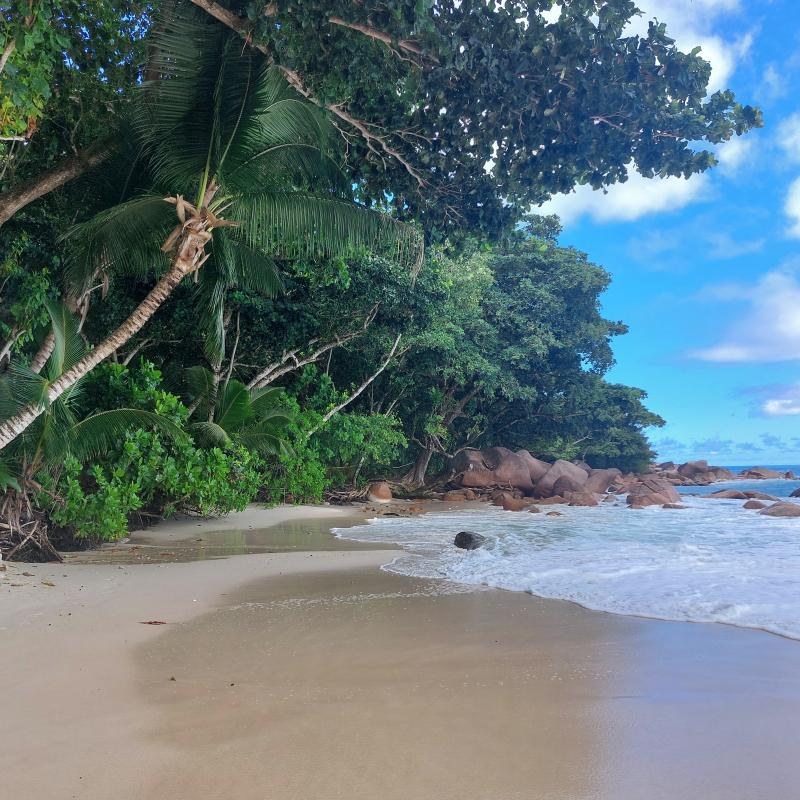Anse Lazio, Praslin
