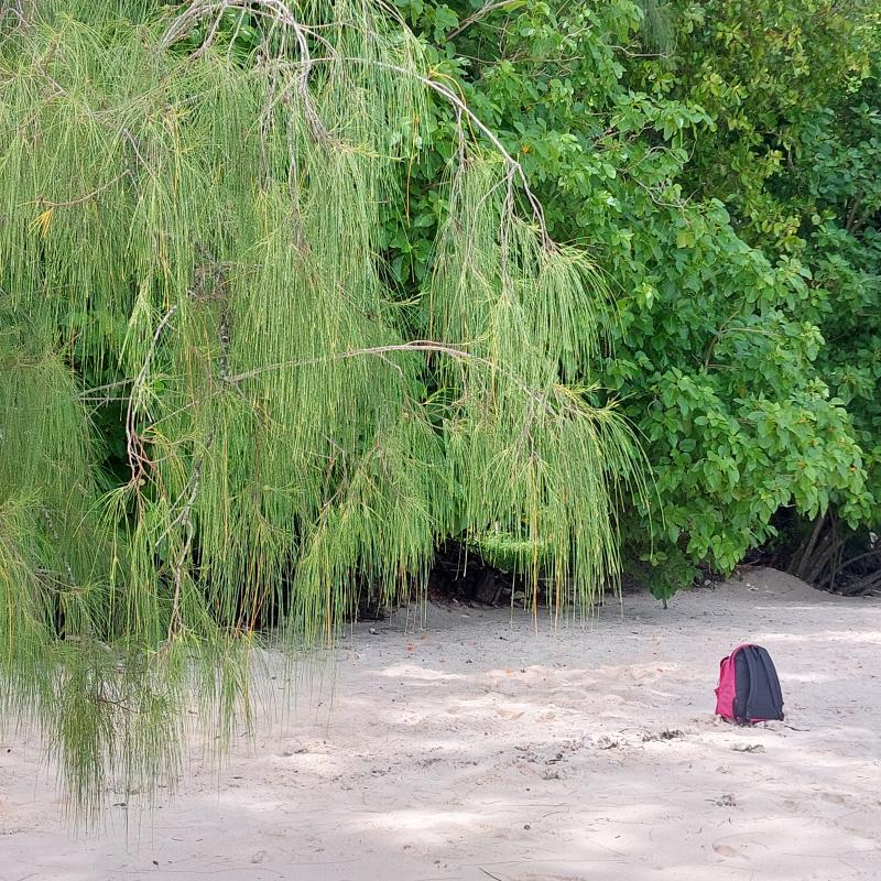 Relaxen auf La Digue