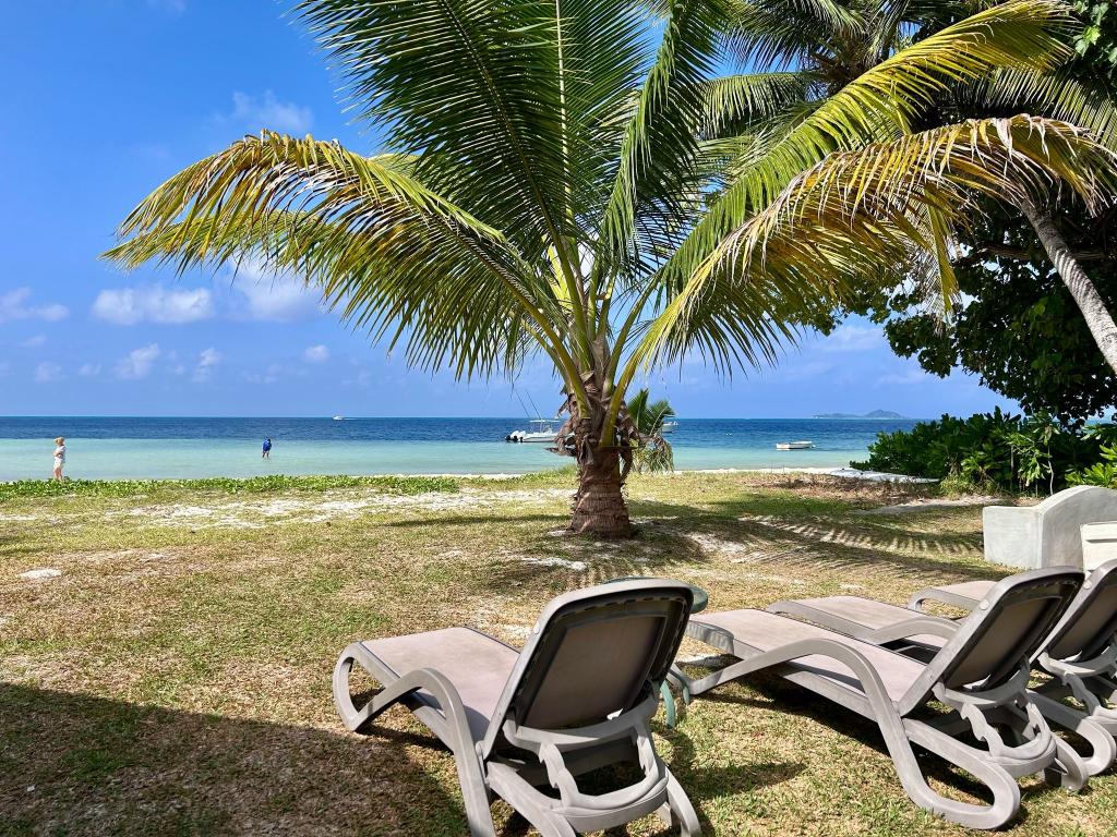Blick von der Beach Villa auf die Grand  Anse.