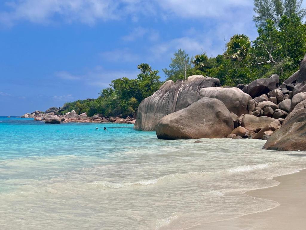 Der schönste Strand der Welt, der Anse  Lazio in Praslin.