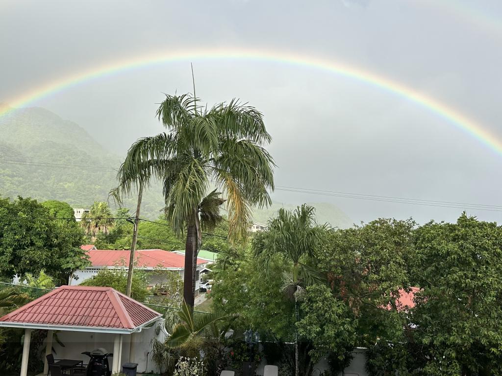 Marie-Laure Suits Regenbogen