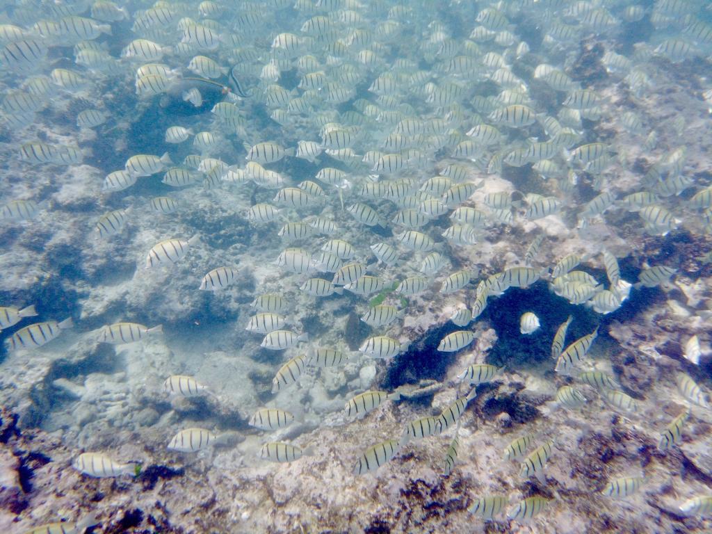 Anse Severe, La Digue Anse Severe, La Digue