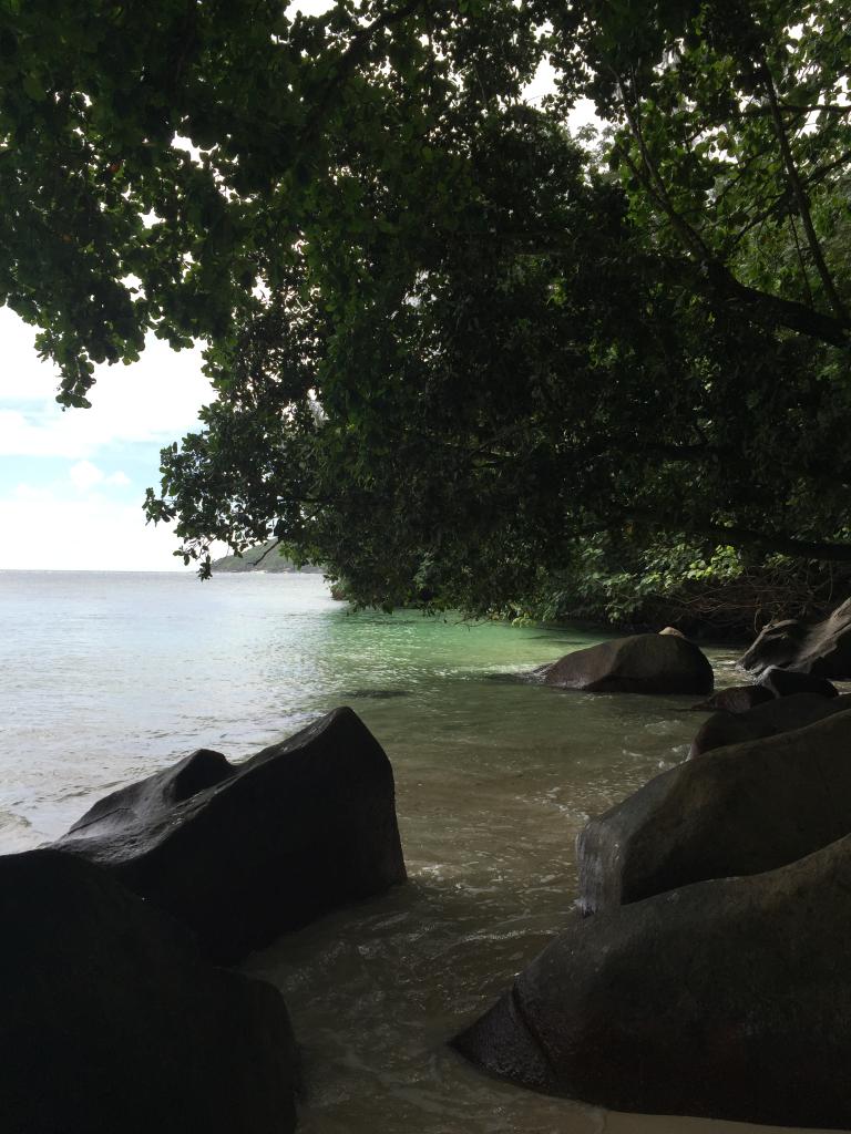 Port Launary Port Launary