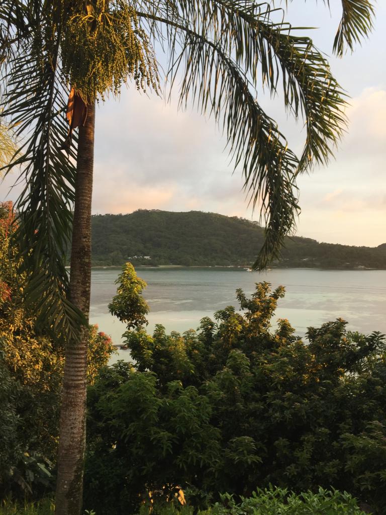 Hotel Le Jardin des Palmes Hotel Le Jardin des Palmes