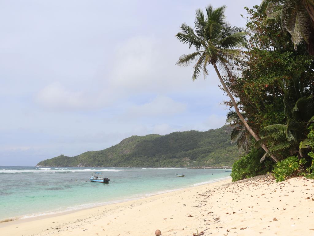 Anse Forbans, Mahé