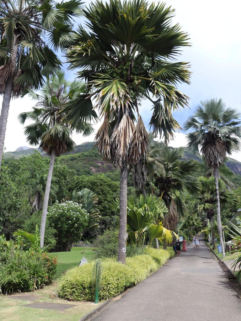 National Botanical Garden