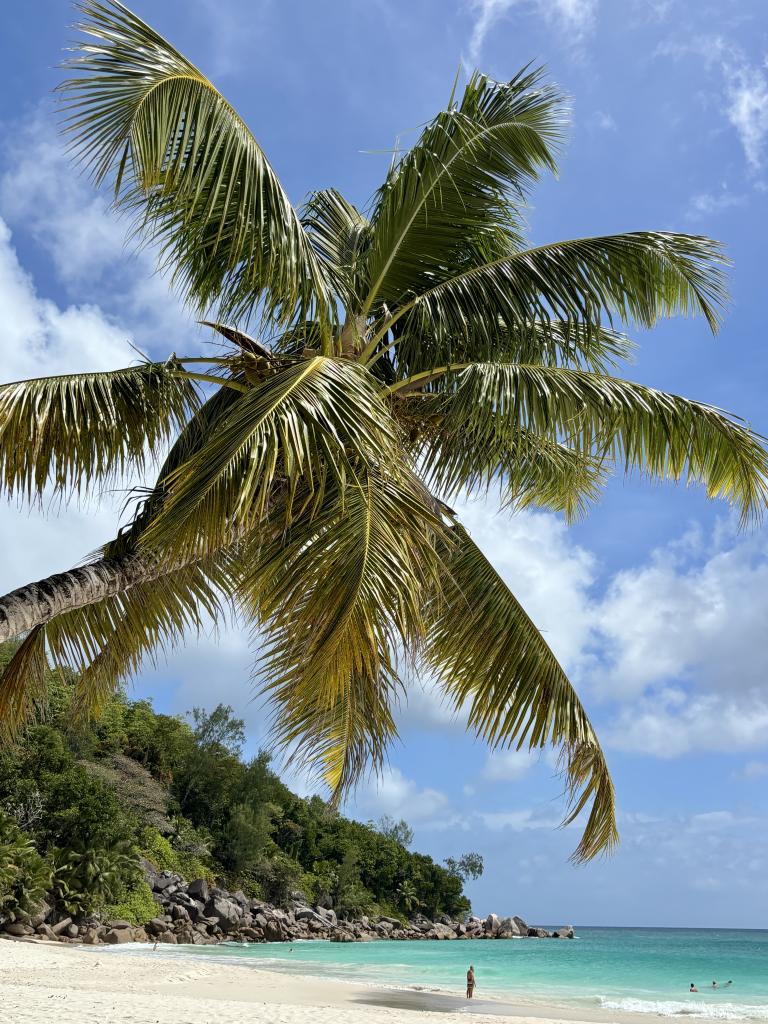 Anse Georgette, Praslin