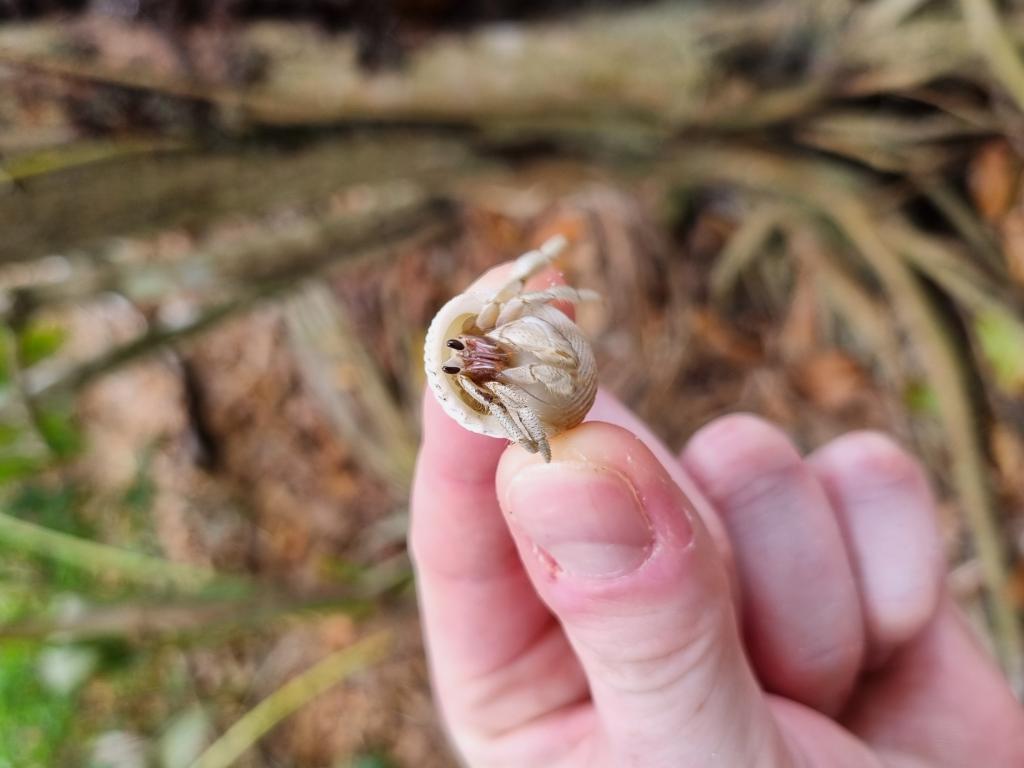 Ausflug nach Curieuse Island