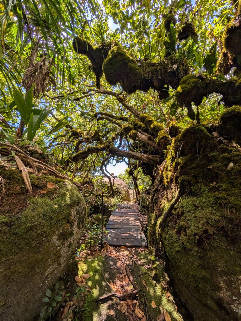 Wanderung Morne Blanc
