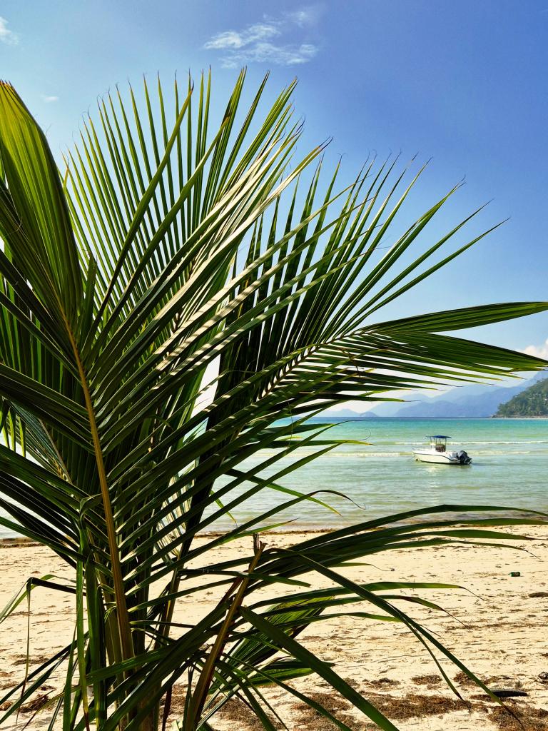 Anse a la Mouche, Mahé