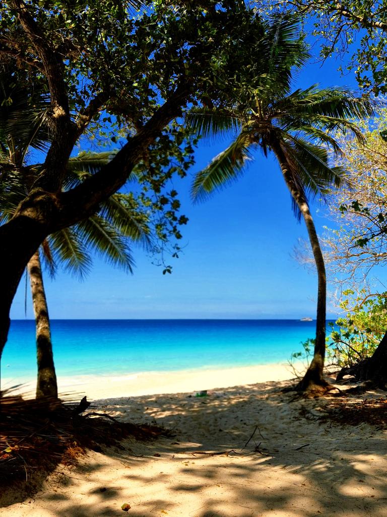 Anse Intendance, Mahé