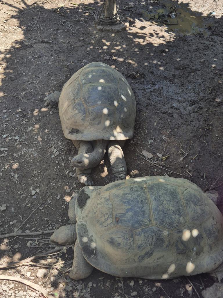 Kot Man-Ya Exotic Flower Garden