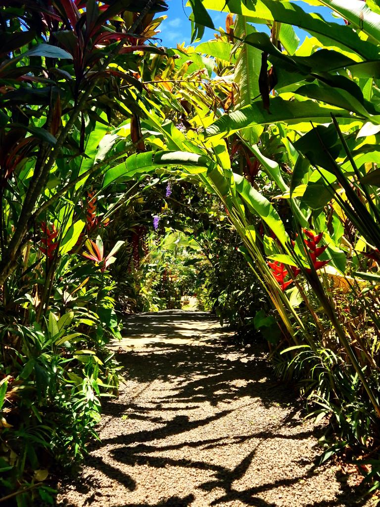 Kot Man-Ya Exotic Flower Garden