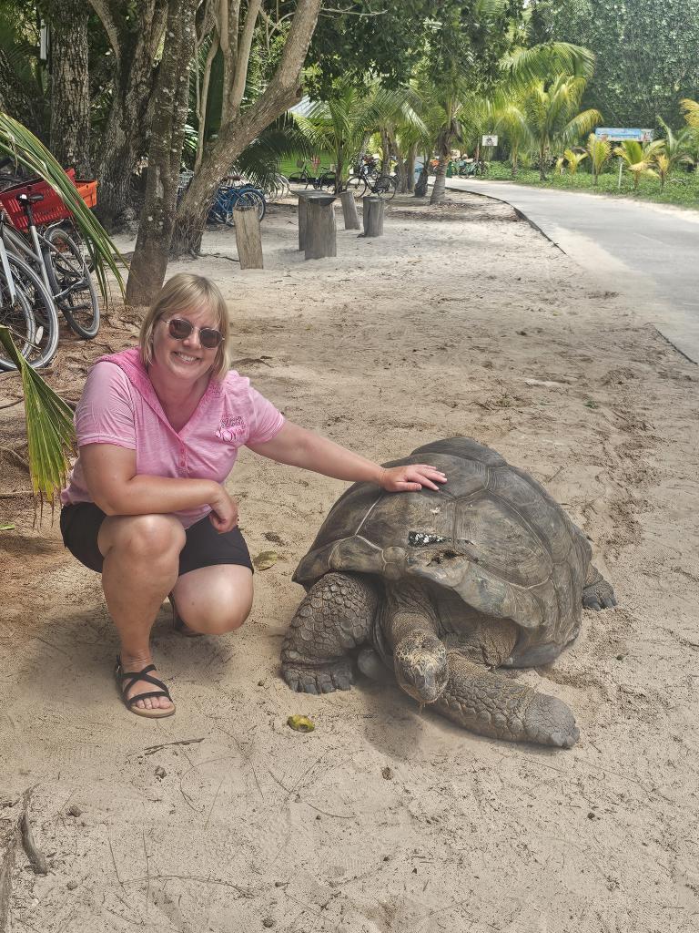 Riesenschildkröte auf La digue