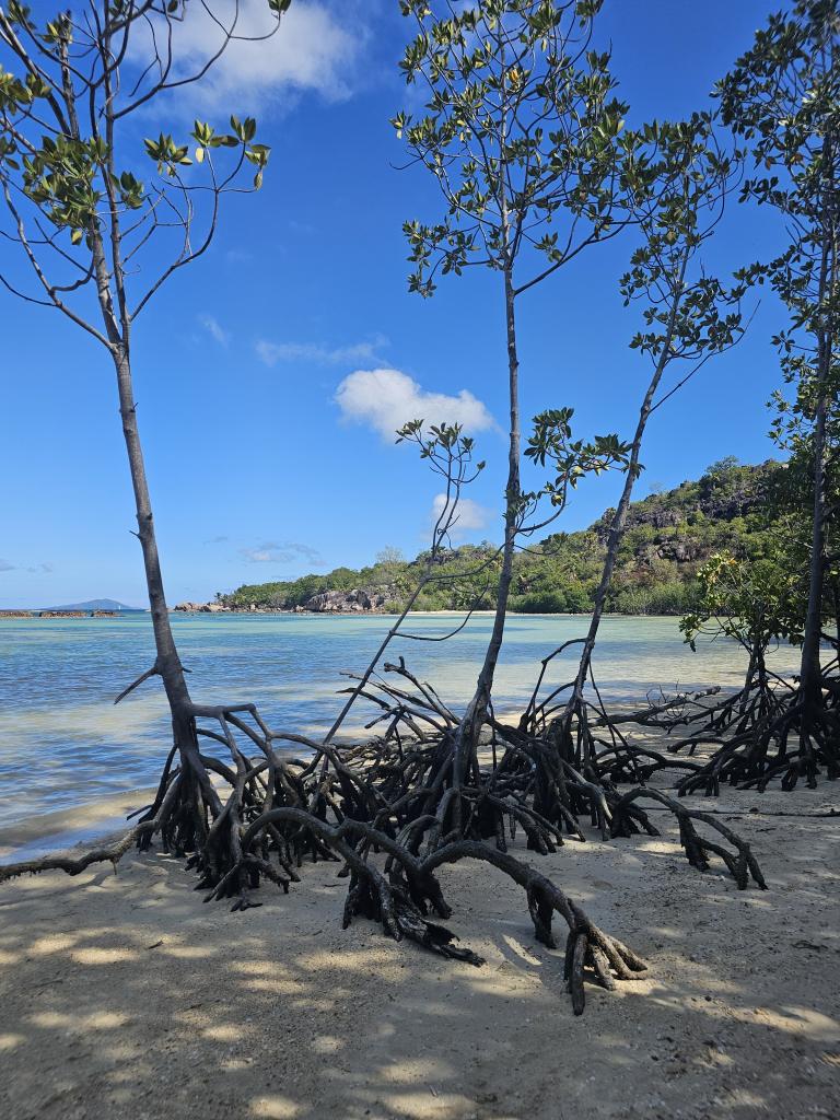 Wanderung auf Curieuse
