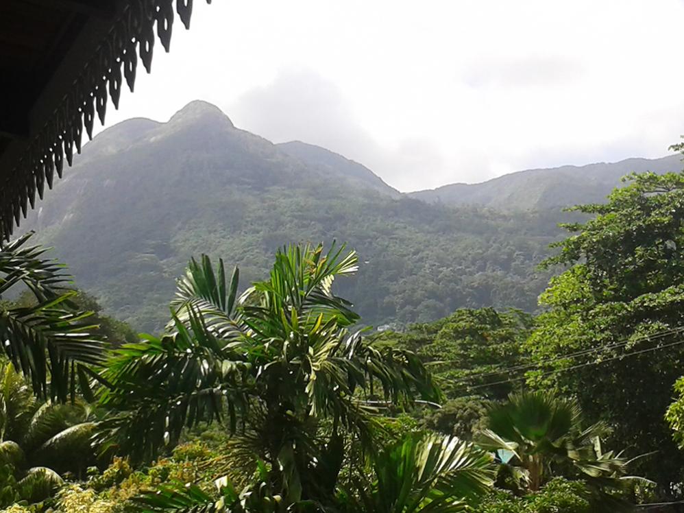 Dschungel-Wanderung auf Mahé