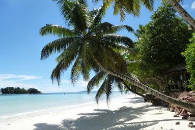 La Digue & Praslin – der Seychellen-Traum wurde wahr...
