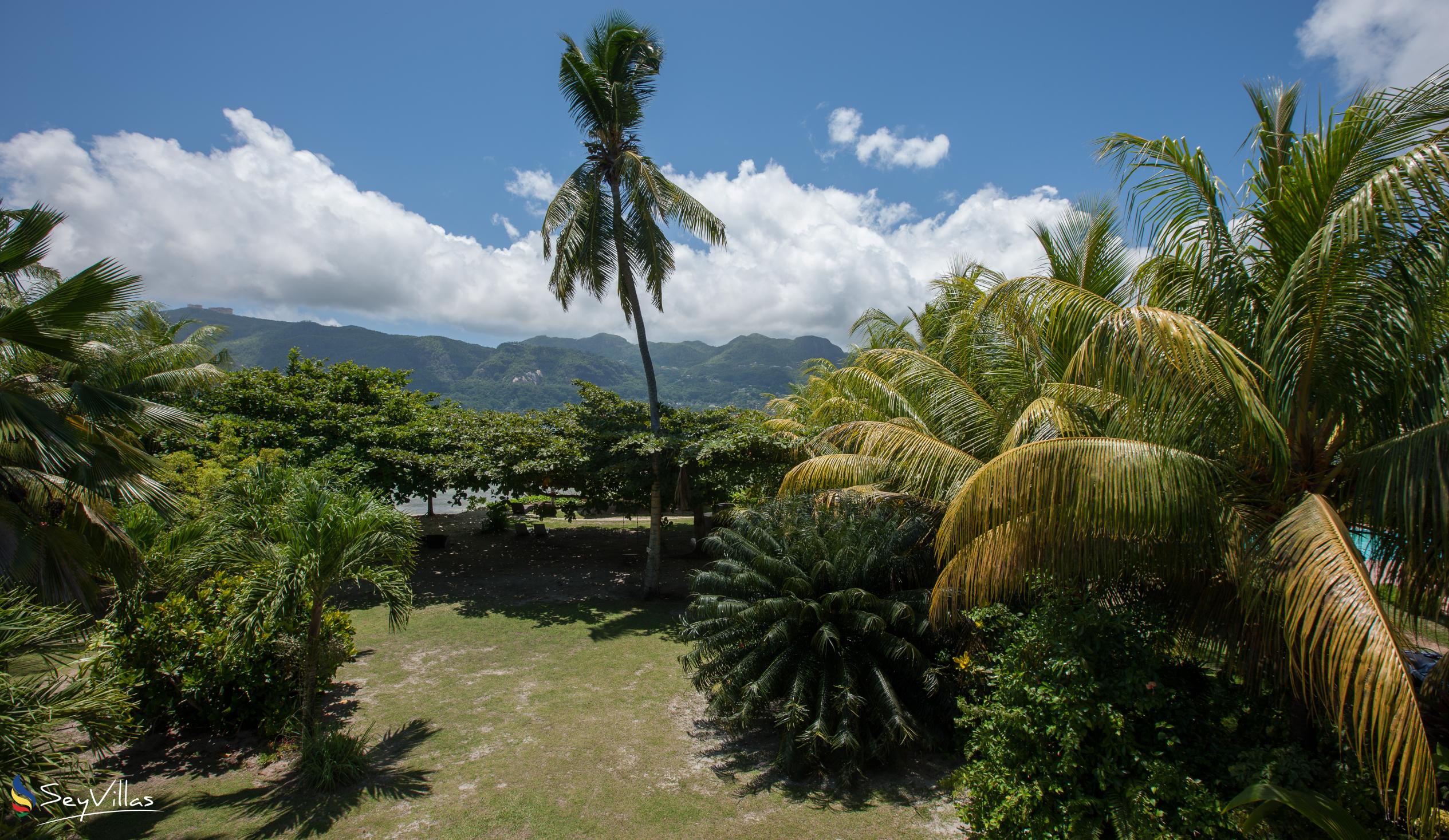 Foto 48: Fairy Tern - Appartement Oben - Cerf Island (Seychellen)