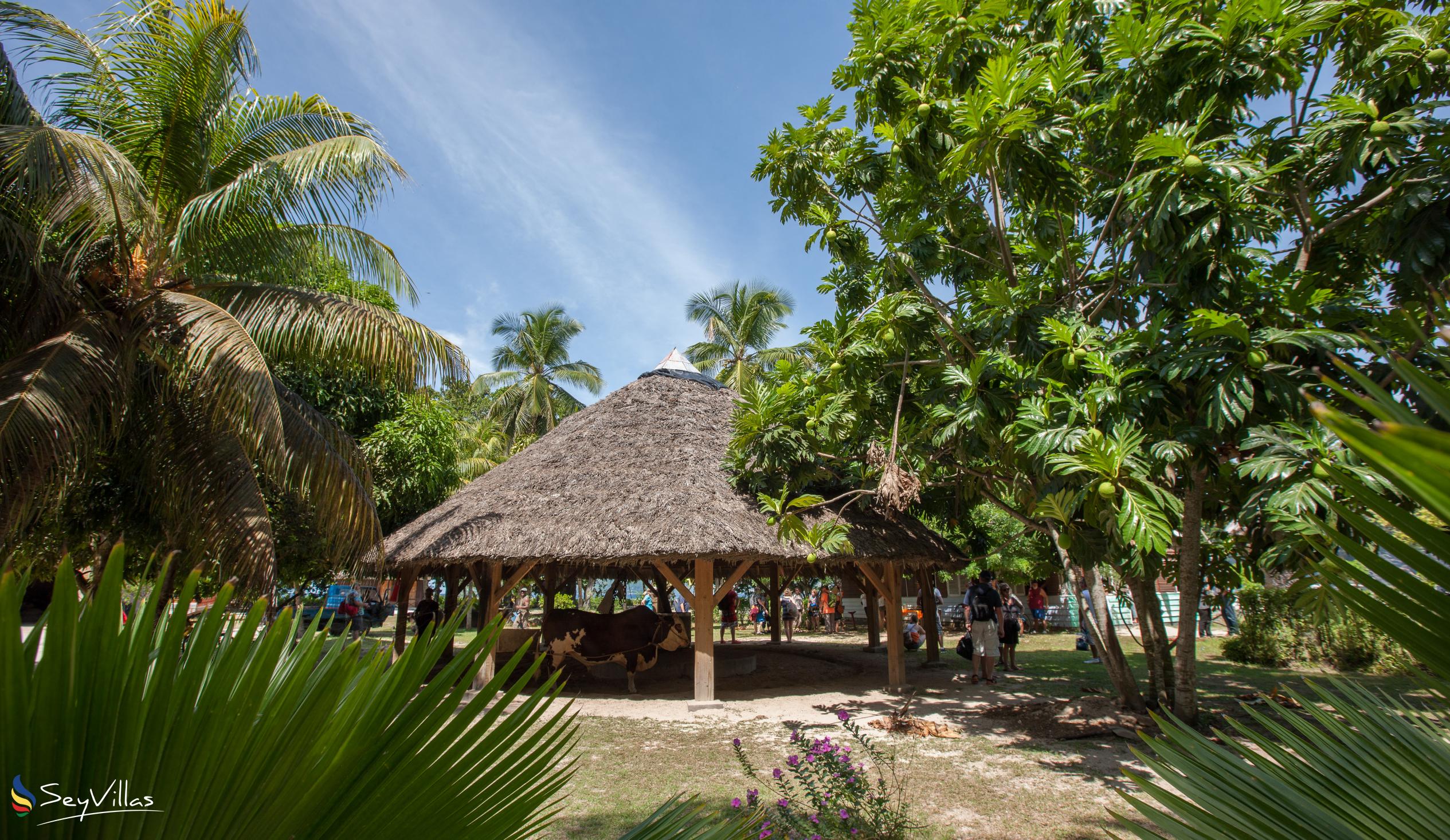 Foto 32: La Digue Island Lodge - Posizione - La Digue (Seychelles)