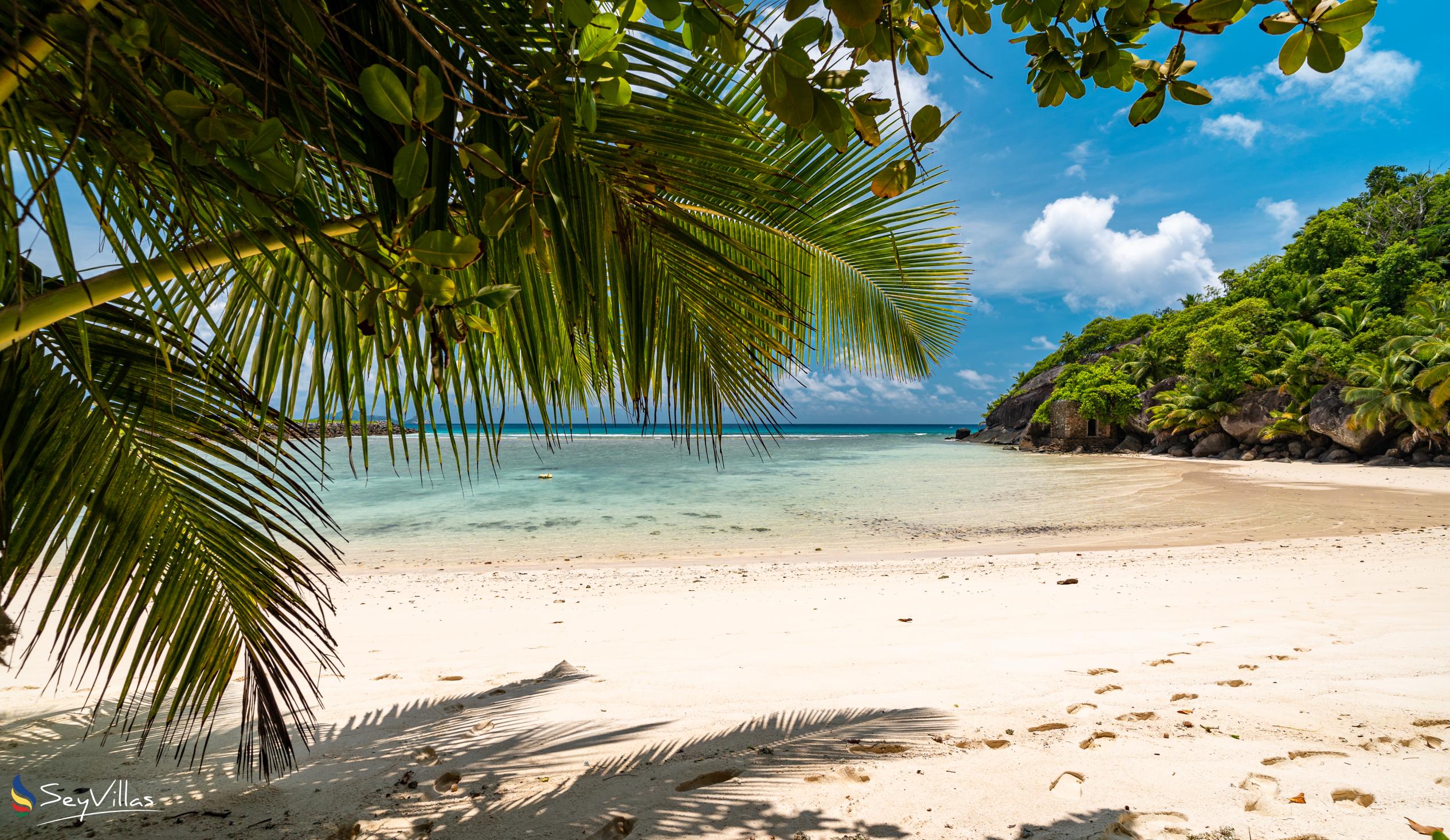 Photo 29: La Belle Tortue - Outdoor area - Silhouette Island (Seychelles)