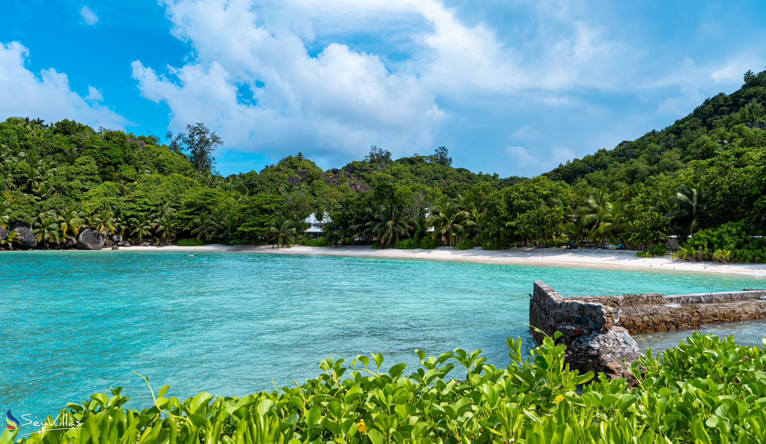 Foto 125: La Belle Tortue - Posizione - Silhouette Island (Seychelles)