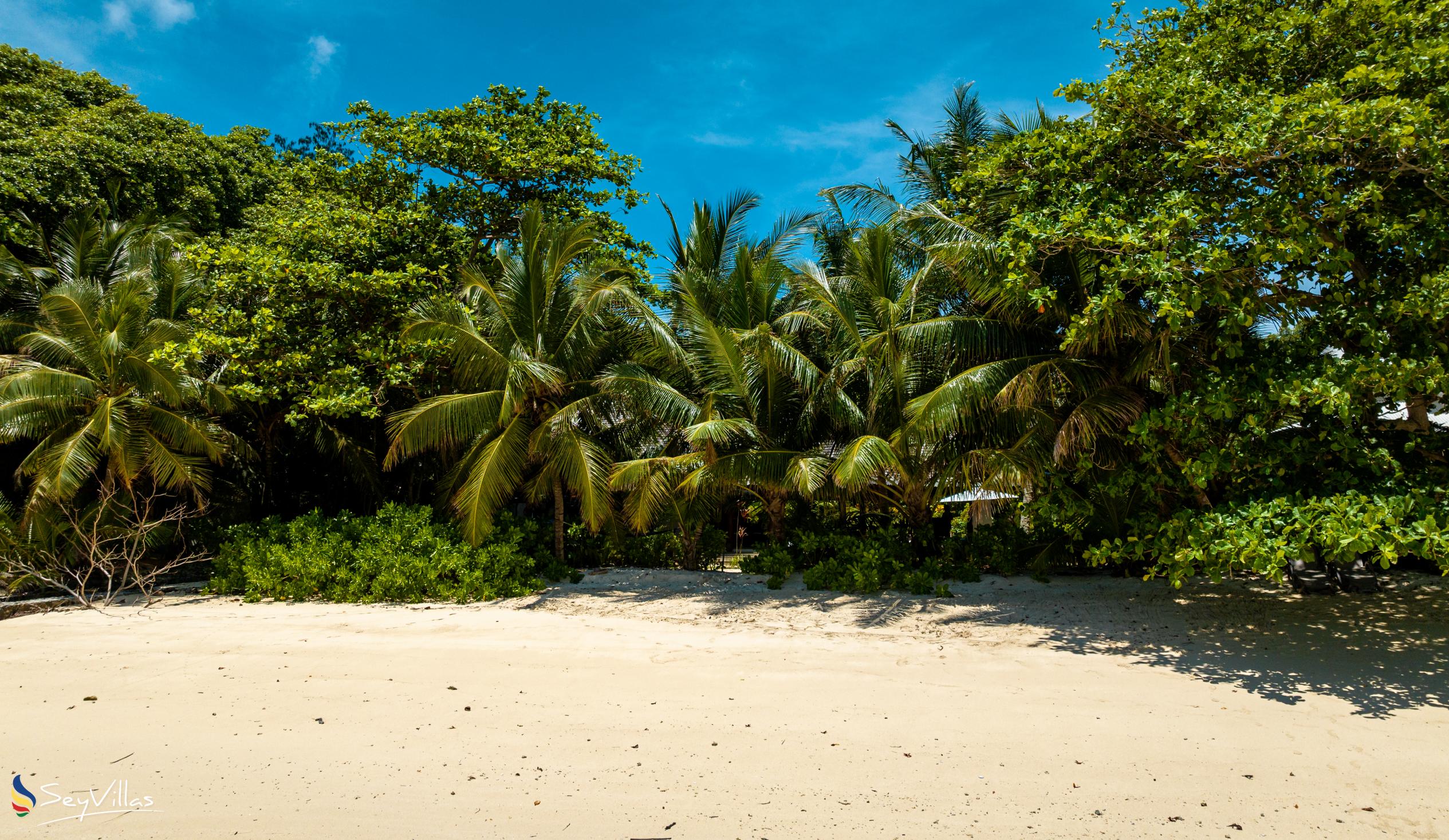 Foto 120: La Belle Tortue - Posizione - Silhouette Island (Seychelles)
