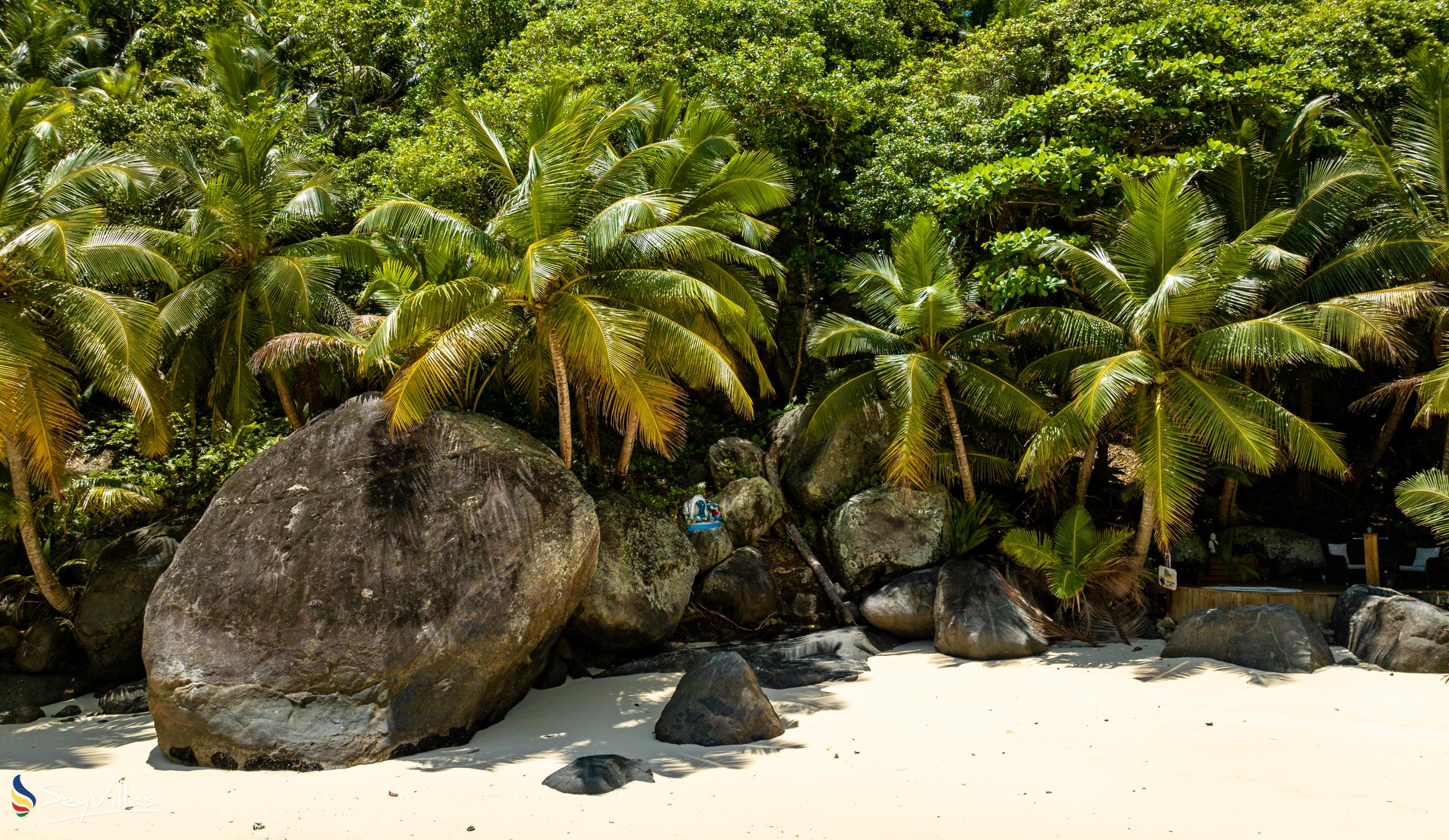 Foto 121: La Belle Tortue - Posizione - Silhouette Island (Seychelles)