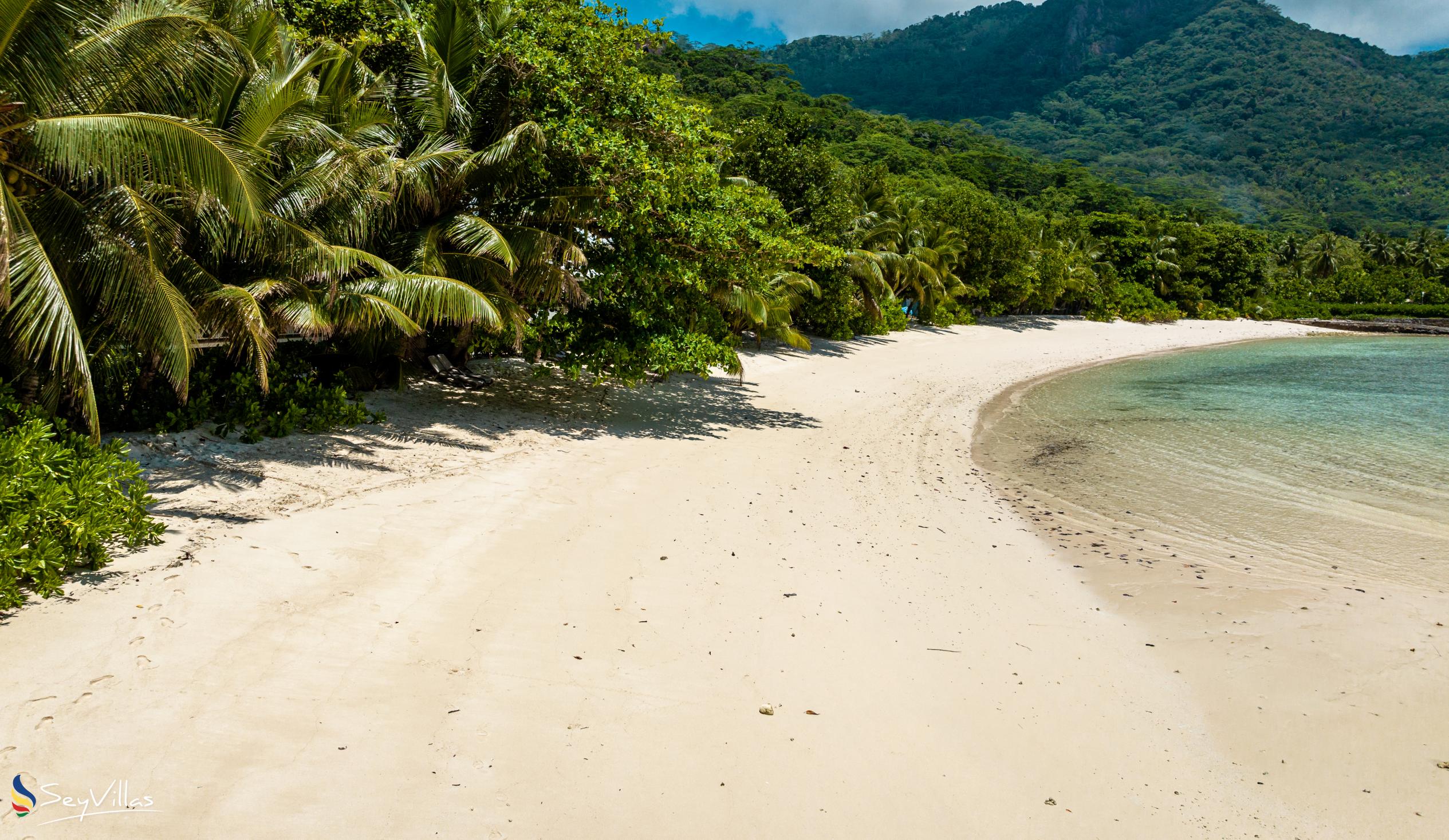 Foto 122: La Belle Tortue - Posizione - Silhouette Island (Seychelles)
