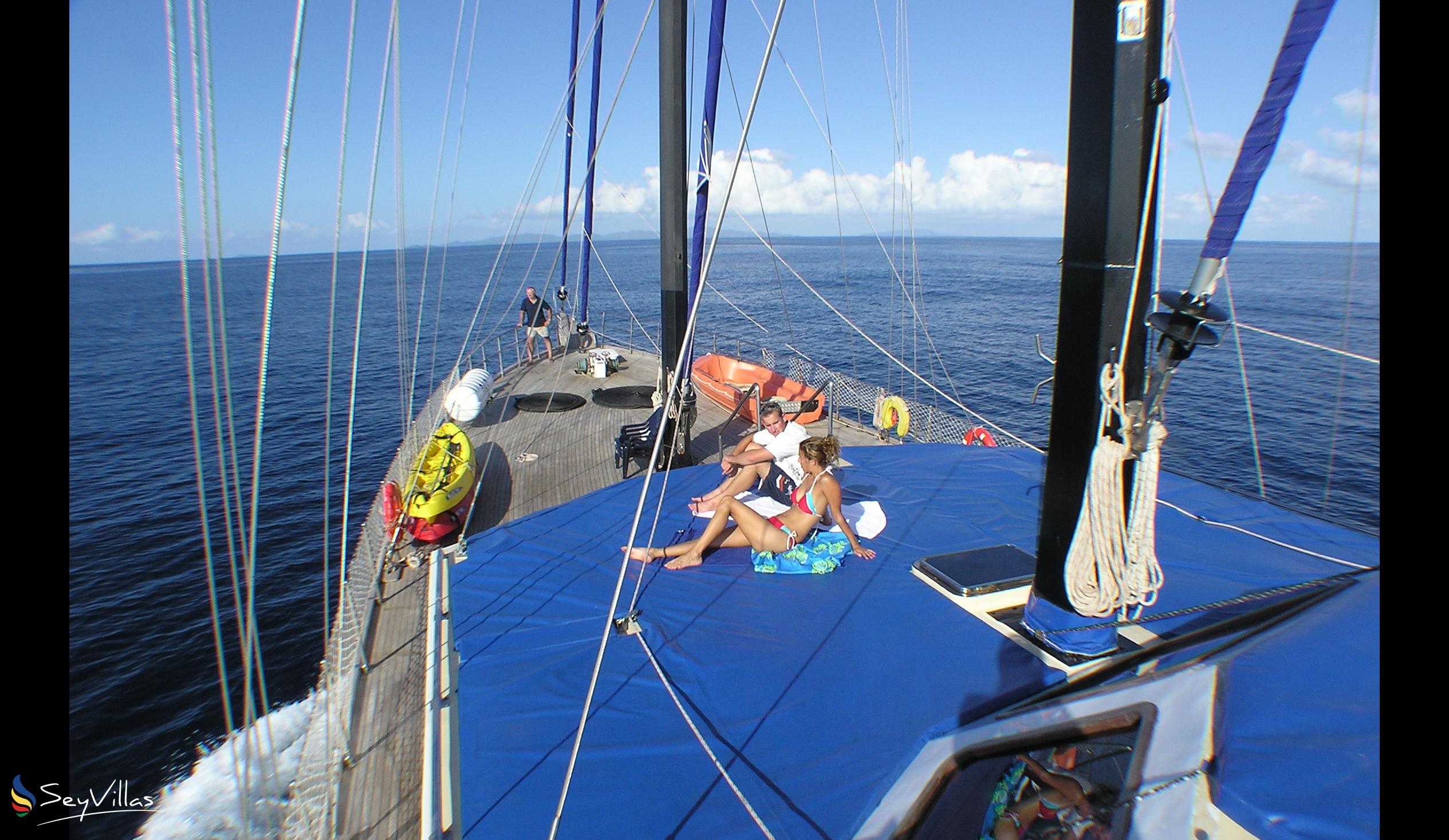 Foto 11: Silhouette Sea Star & Sea Bird - Aussenbereich - Seychellen (Seychellen)