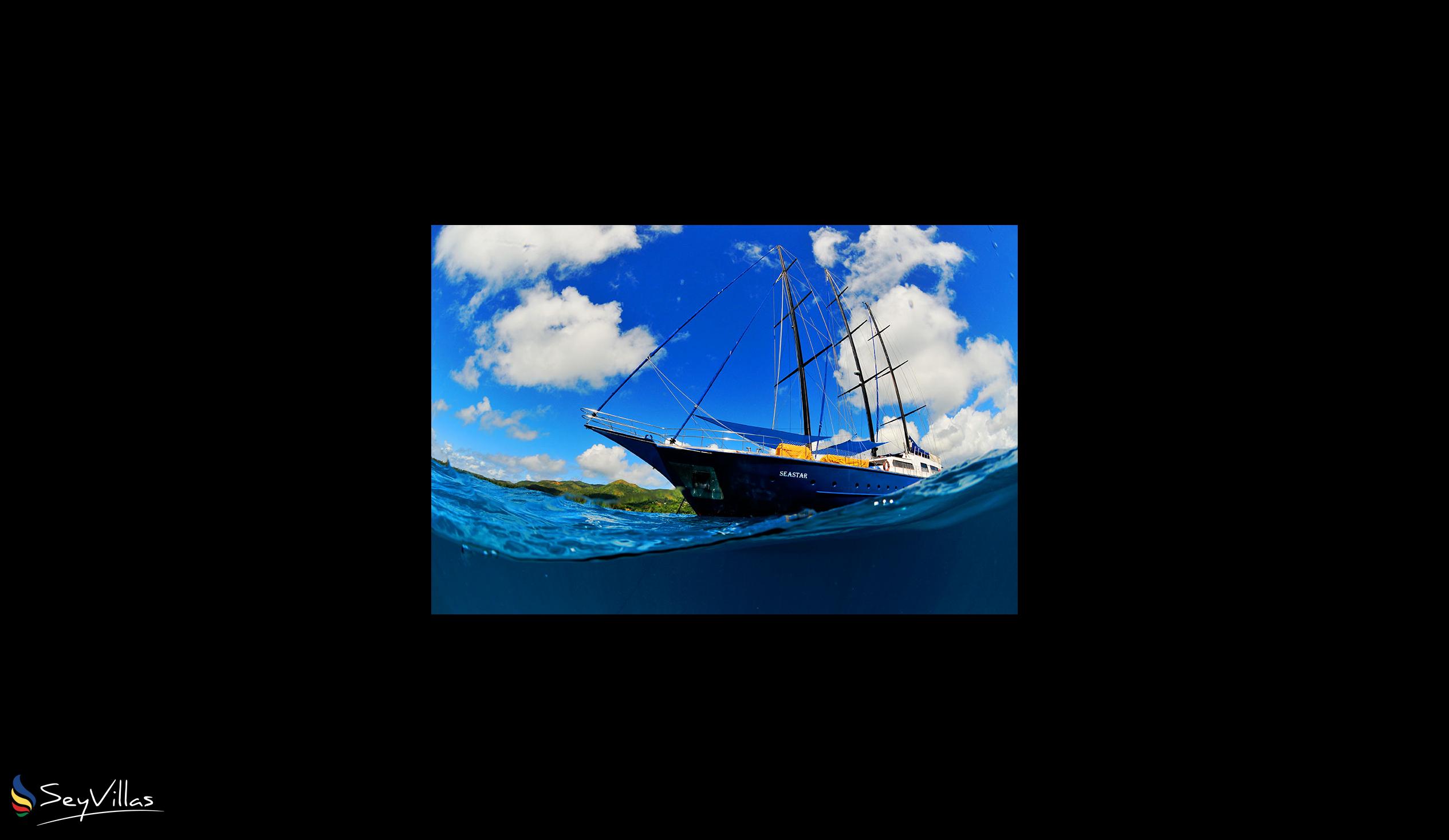 Foto 1: Silhouette Sea Star & Sea Bird - Aussenbereich - Seychellen (Seychellen)