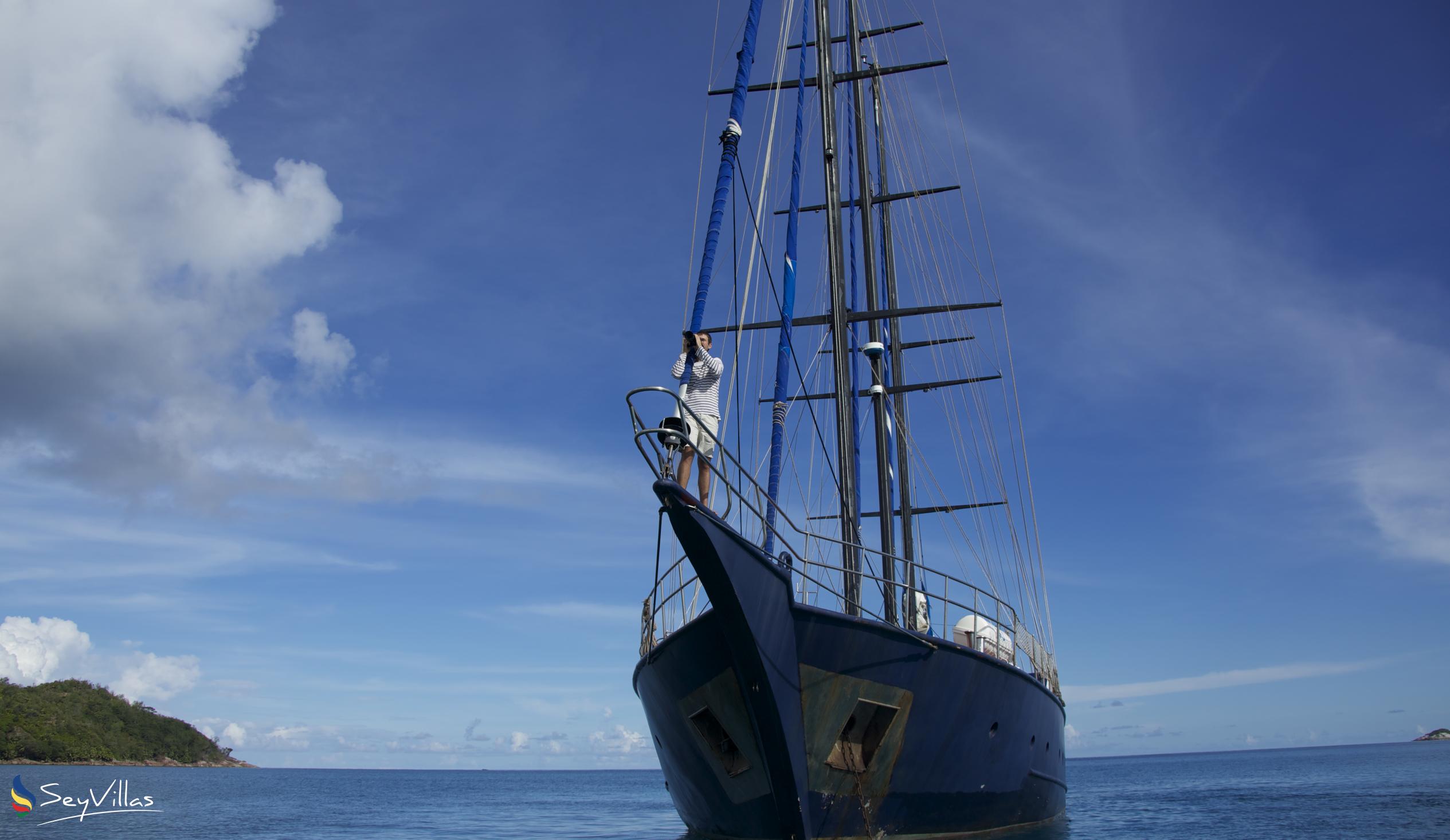 Foto 5: Silhouette Sea Star & Sea Bird - Aussenbereich - Seychellen (Seychellen)