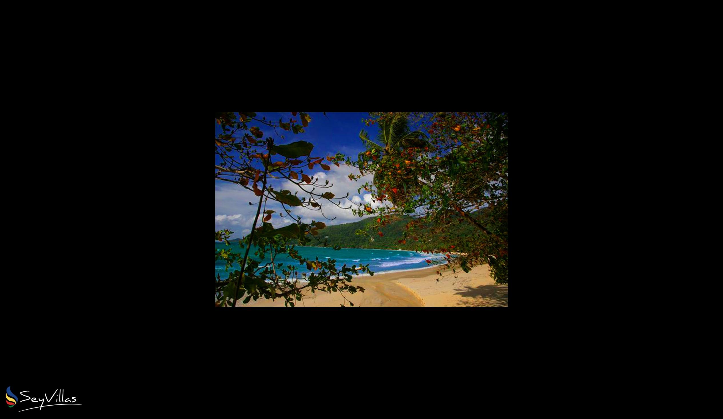 Photo 28: Row's Villa - Beaches - Mahé (Seychelles)