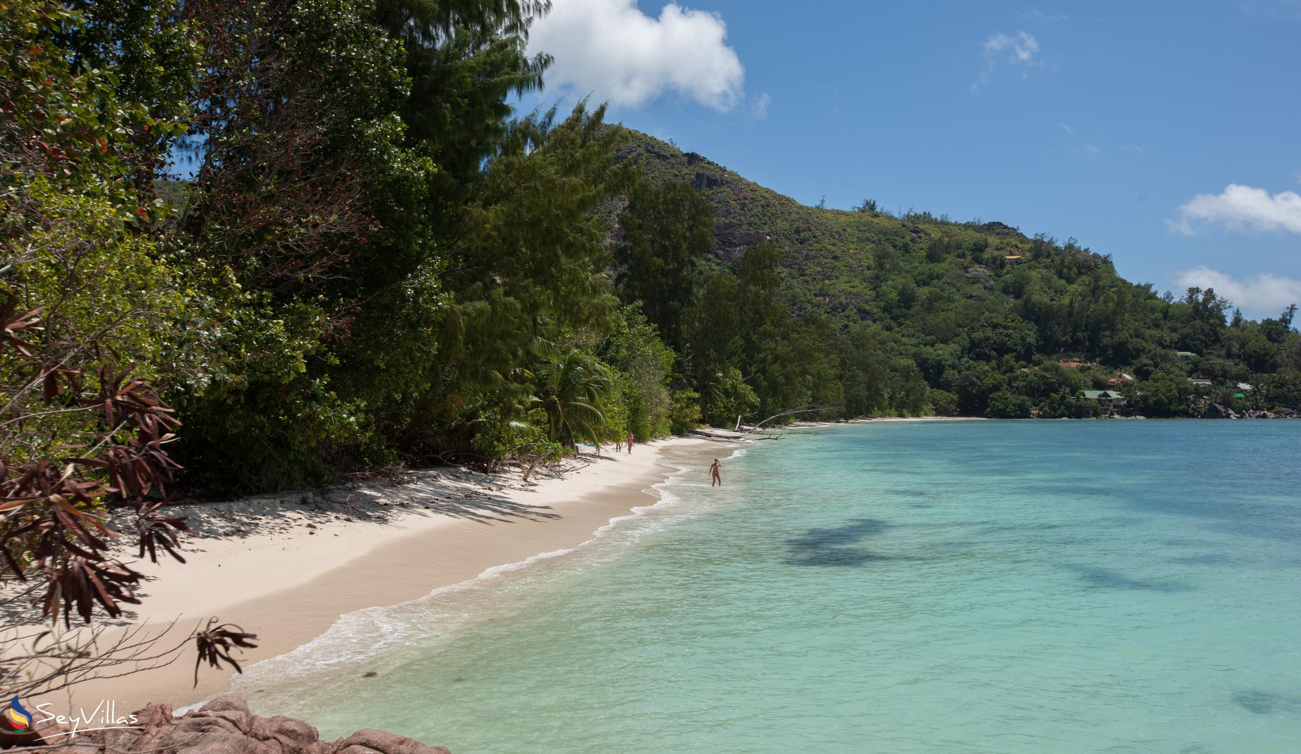 Photo 21: Tranquility Villa - Beaches - Praslin (Seychelles)