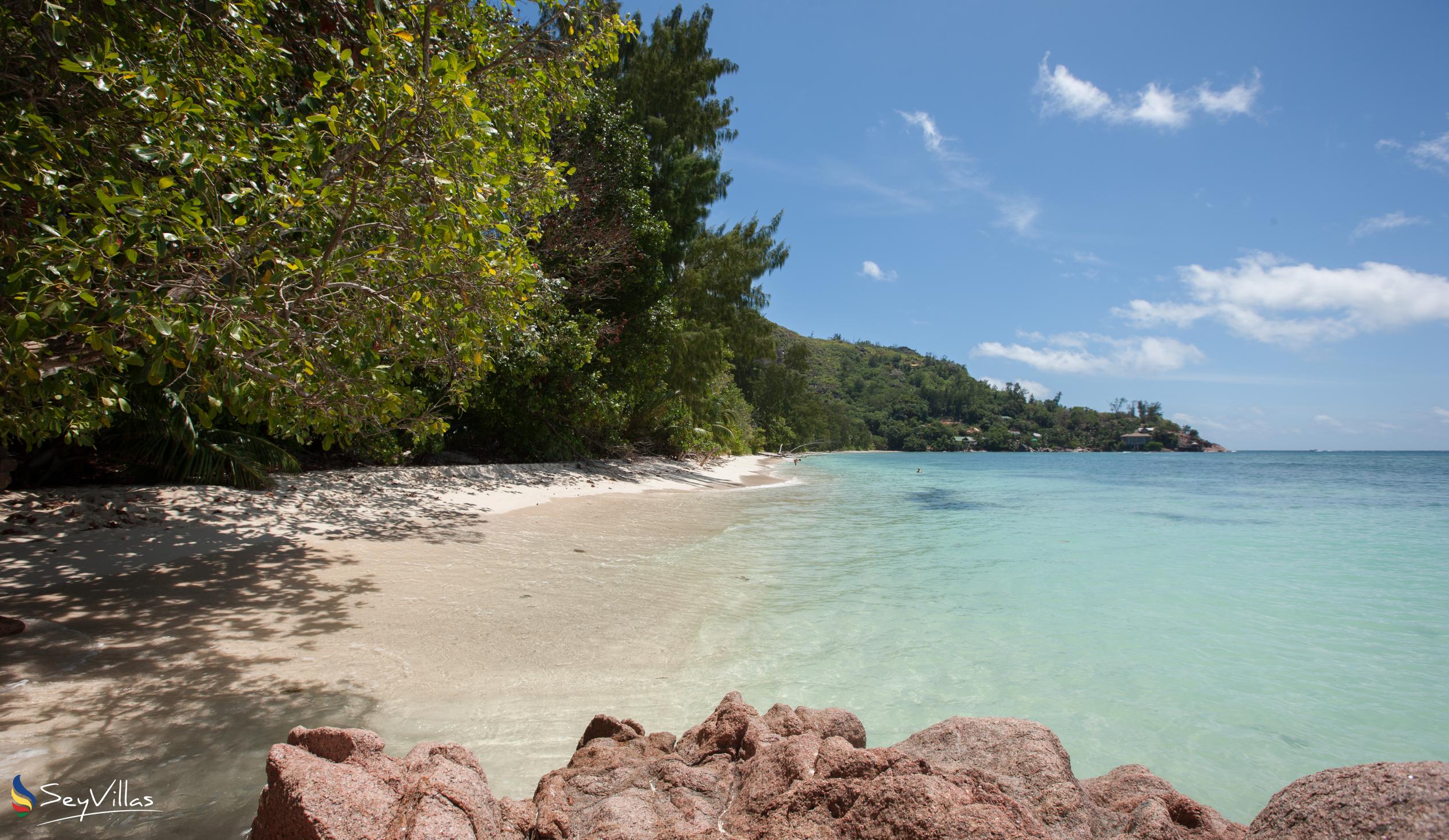 Photo 22: Tranquility Villa - Beaches - Praslin (Seychelles)