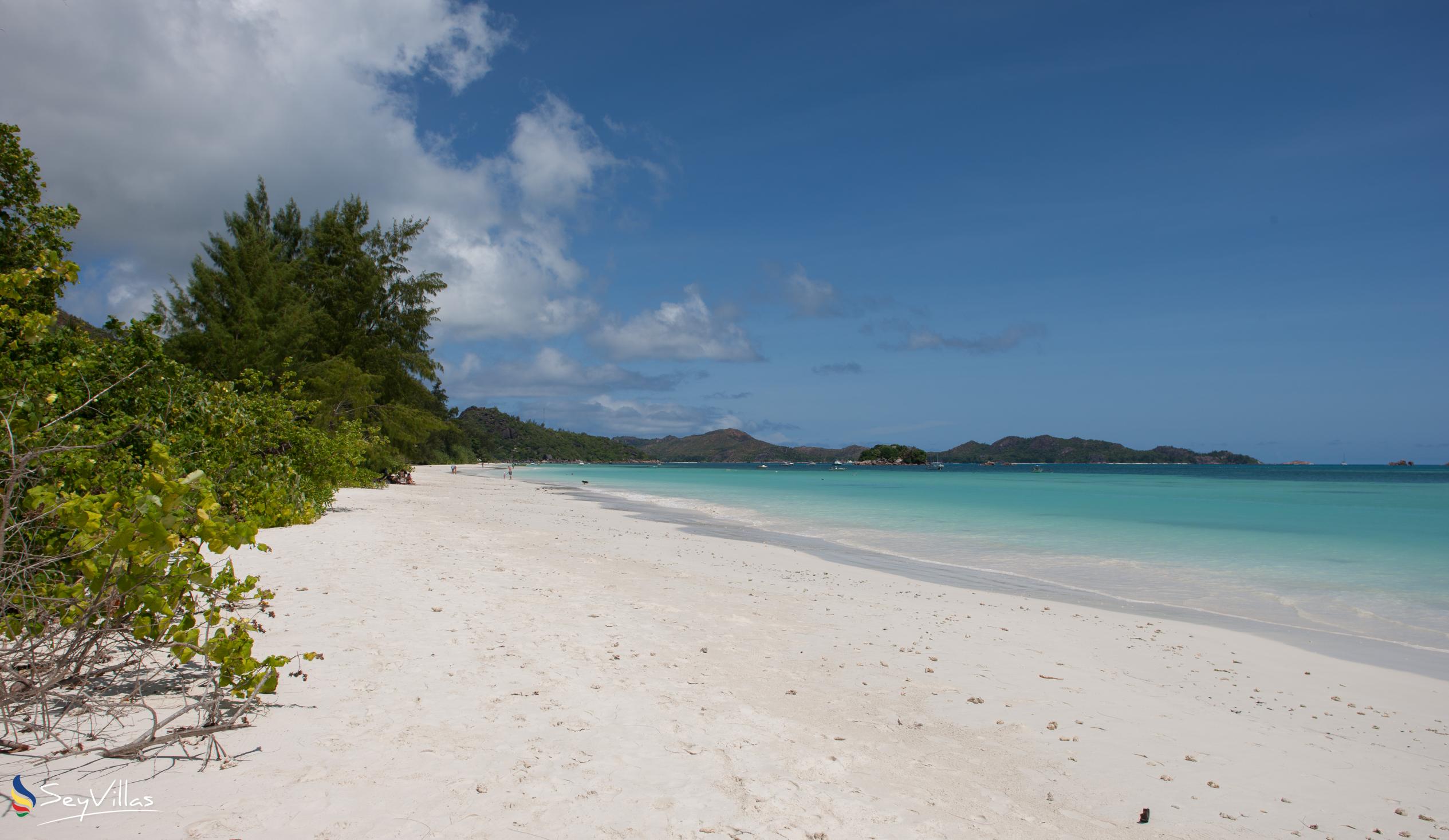 Photo 61: Heliconia Grove - Beaches - Praslin (Seychelles)