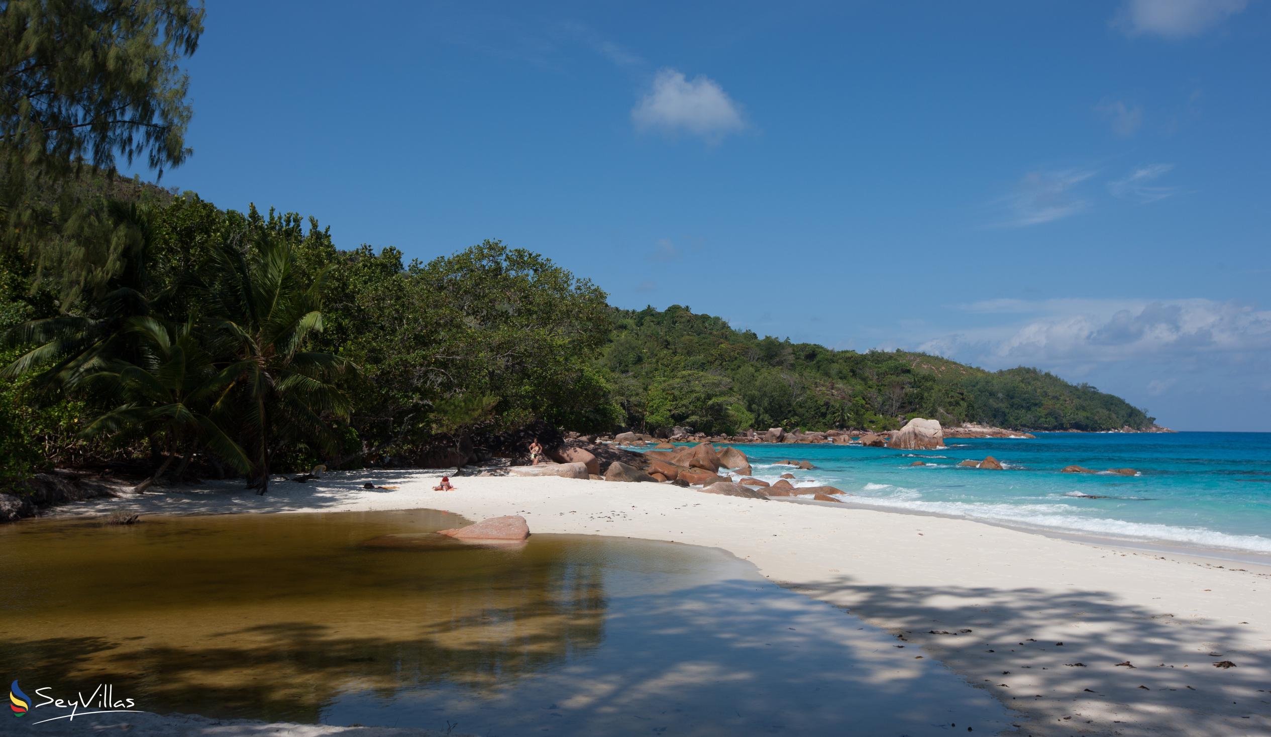 Photo 16: Le Chevalier Bay Guesthouse - Beaches - Praslin (Seychelles)