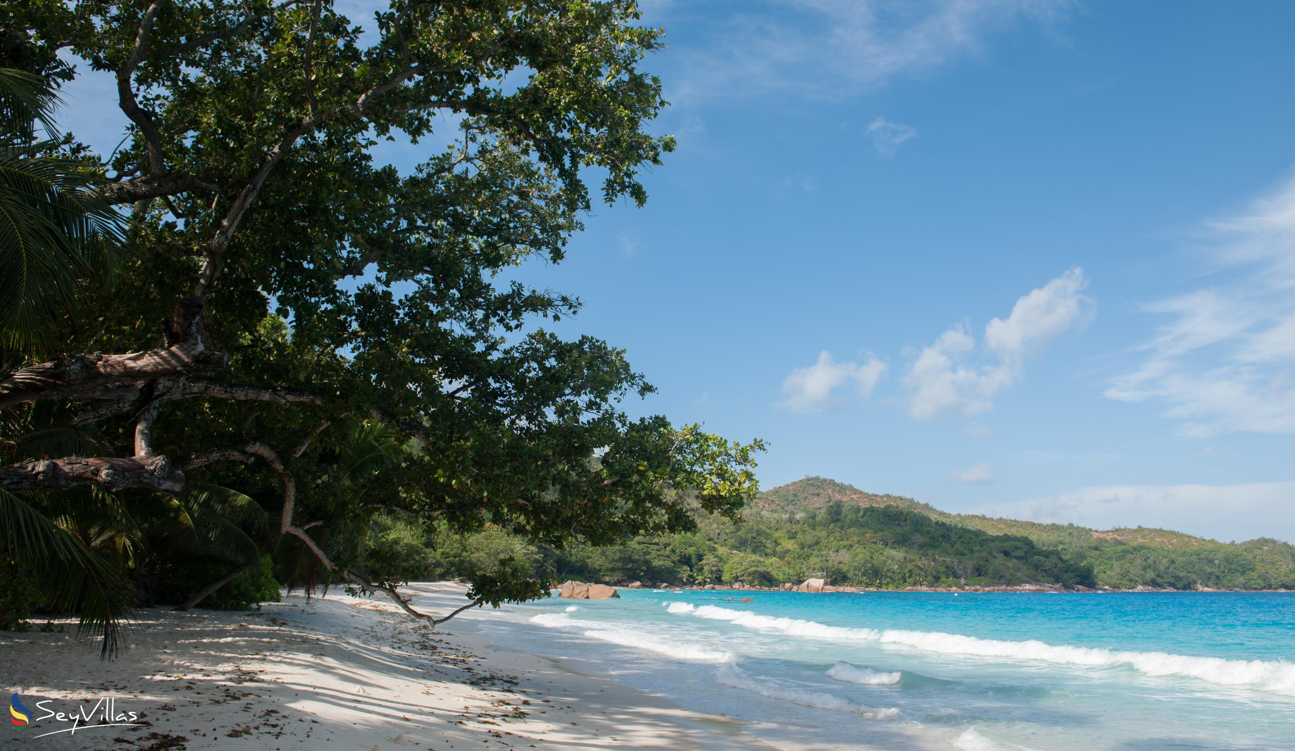 Photo 8: Le Chevalier Bay Guesthouse - Beaches - Praslin (Seychelles)