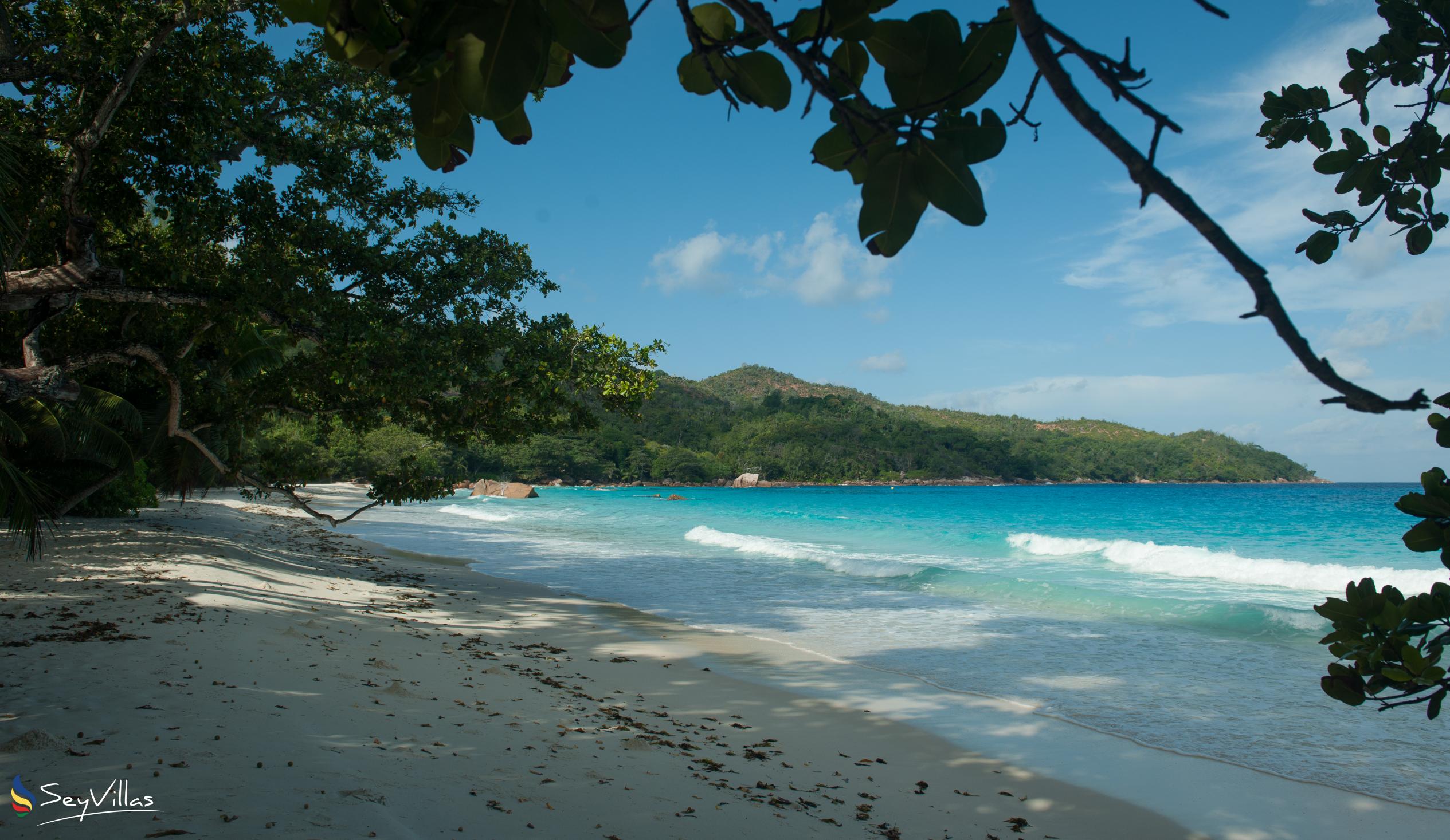 Photo 9: Le Chevalier Bay Guesthouse - Beaches - Praslin (Seychelles)