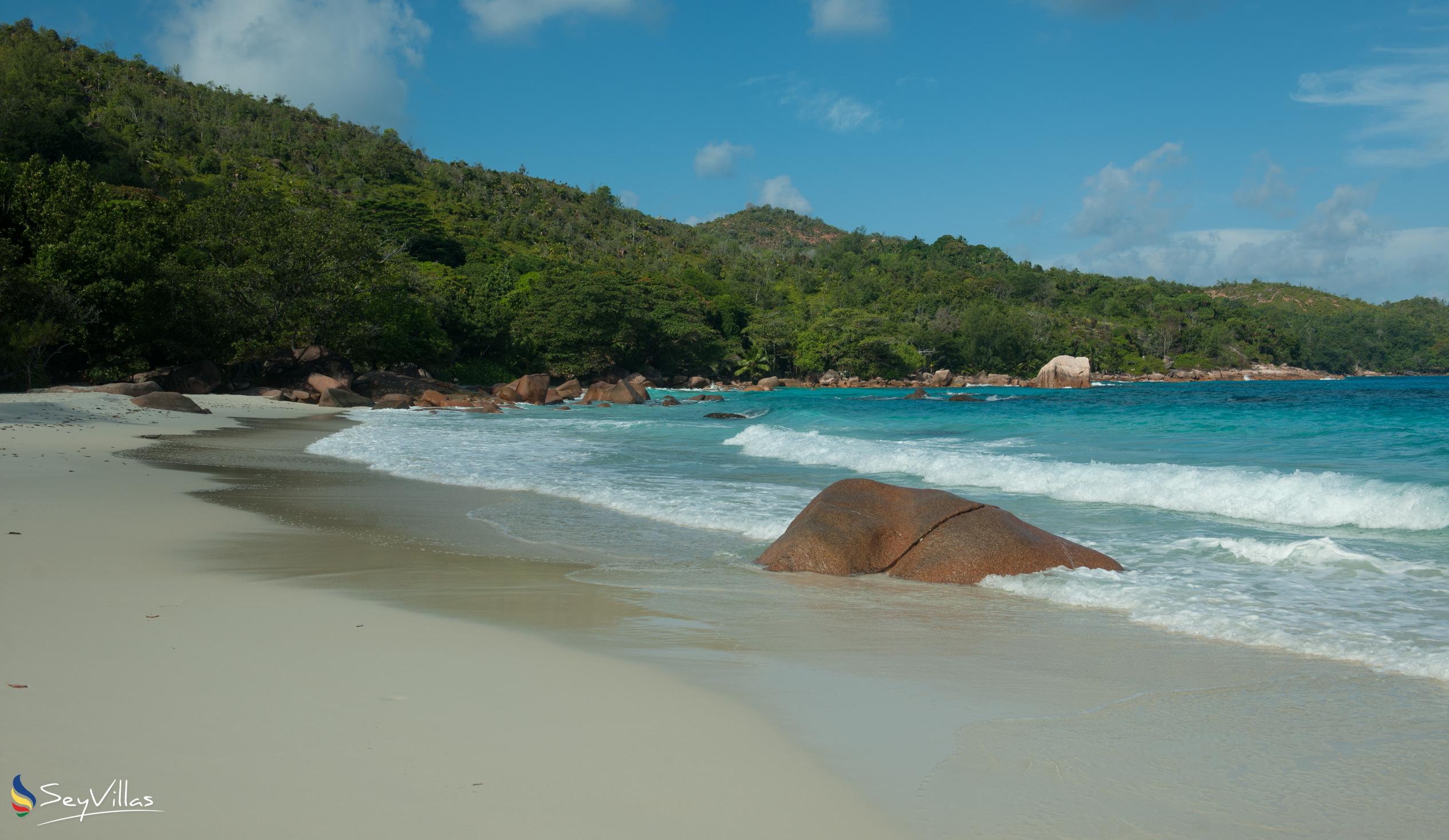Photo 13: Le Chevalier Bay Guesthouse - Beaches - Praslin (Seychelles)