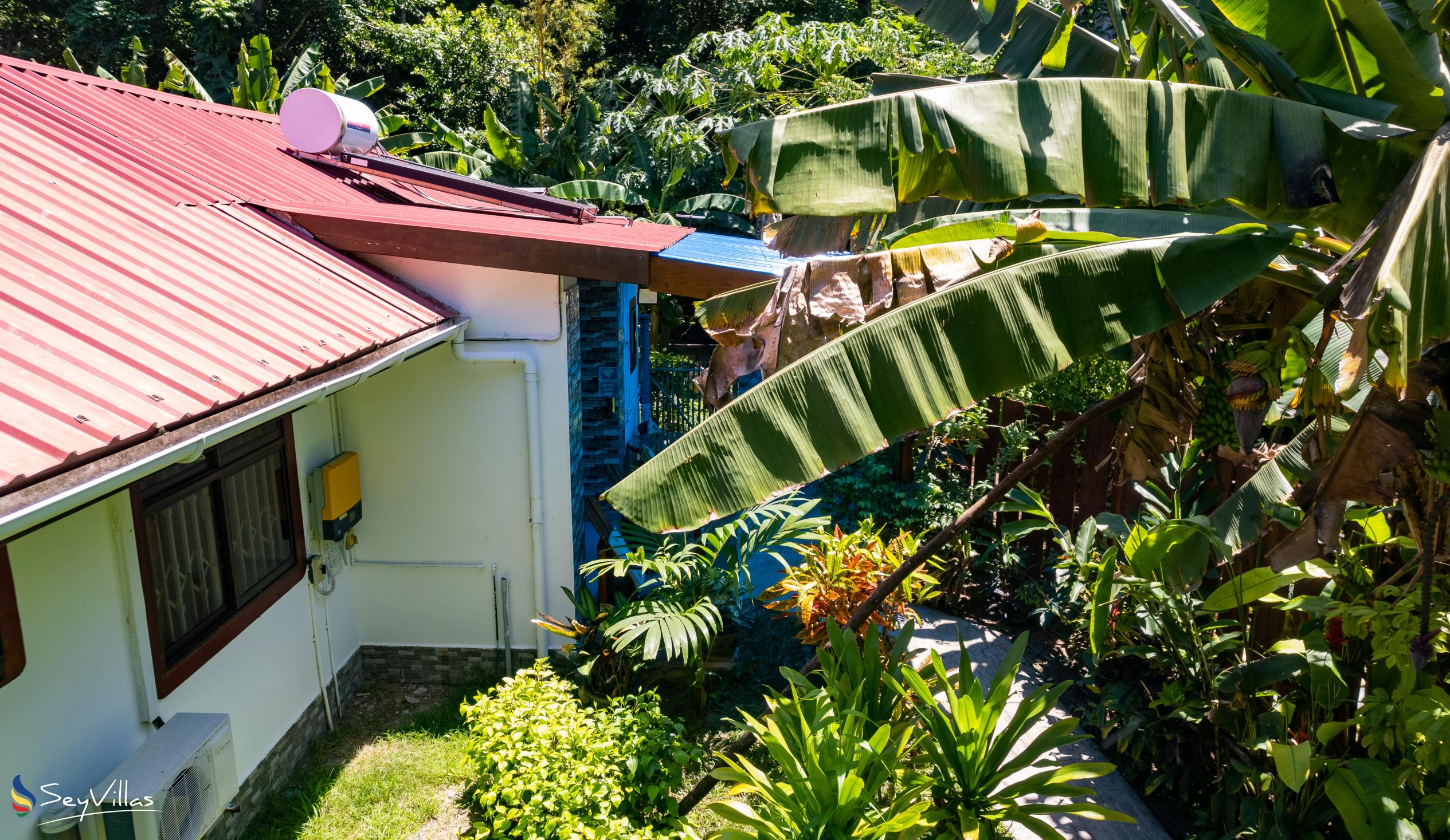 Photo 10: Buisson Guest House - Outdoor area - La Digue (Seychelles)