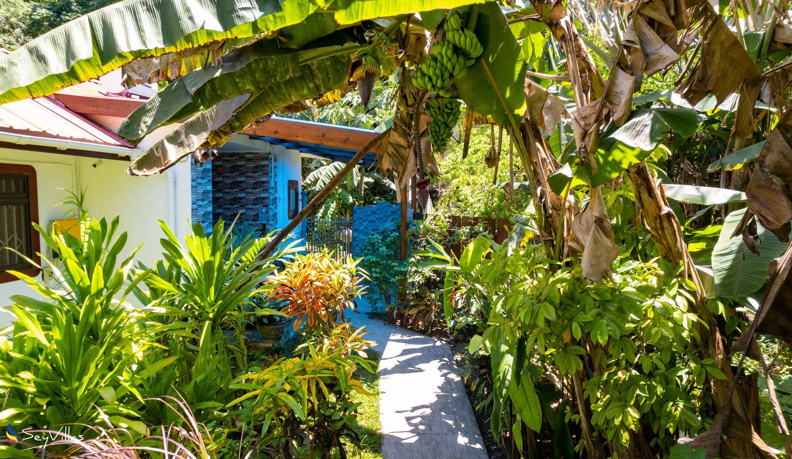 Photo 11: Buisson Guest House - Outdoor area - La Digue (Seychelles)