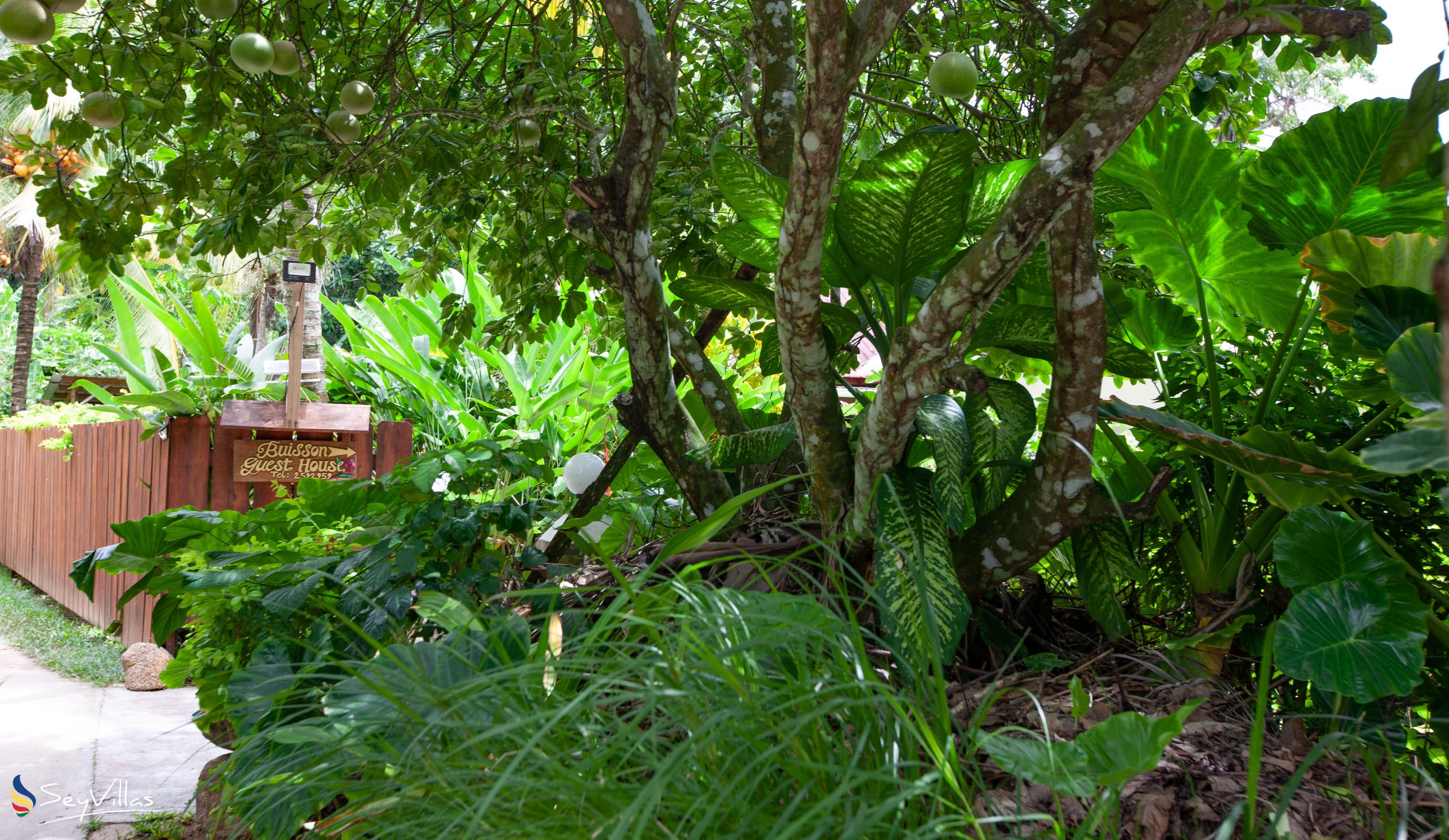 Photo 12: Buisson Guest House - Outdoor area - La Digue (Seychelles)