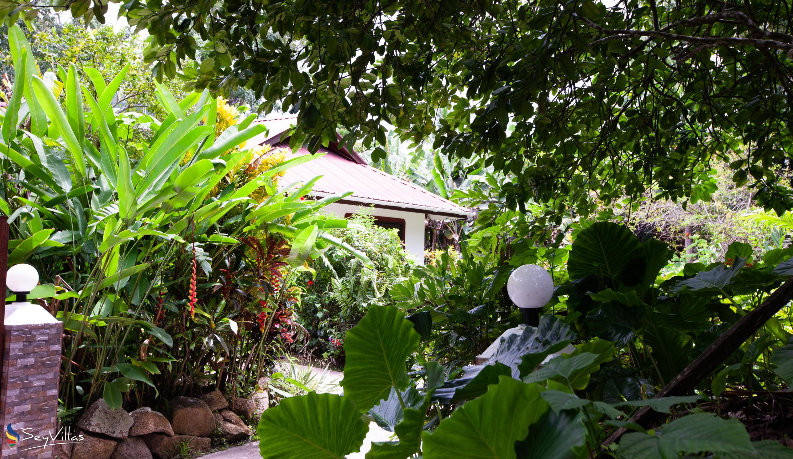 Photo 14: Buisson Guest House - Outdoor area - La Digue (Seychelles)