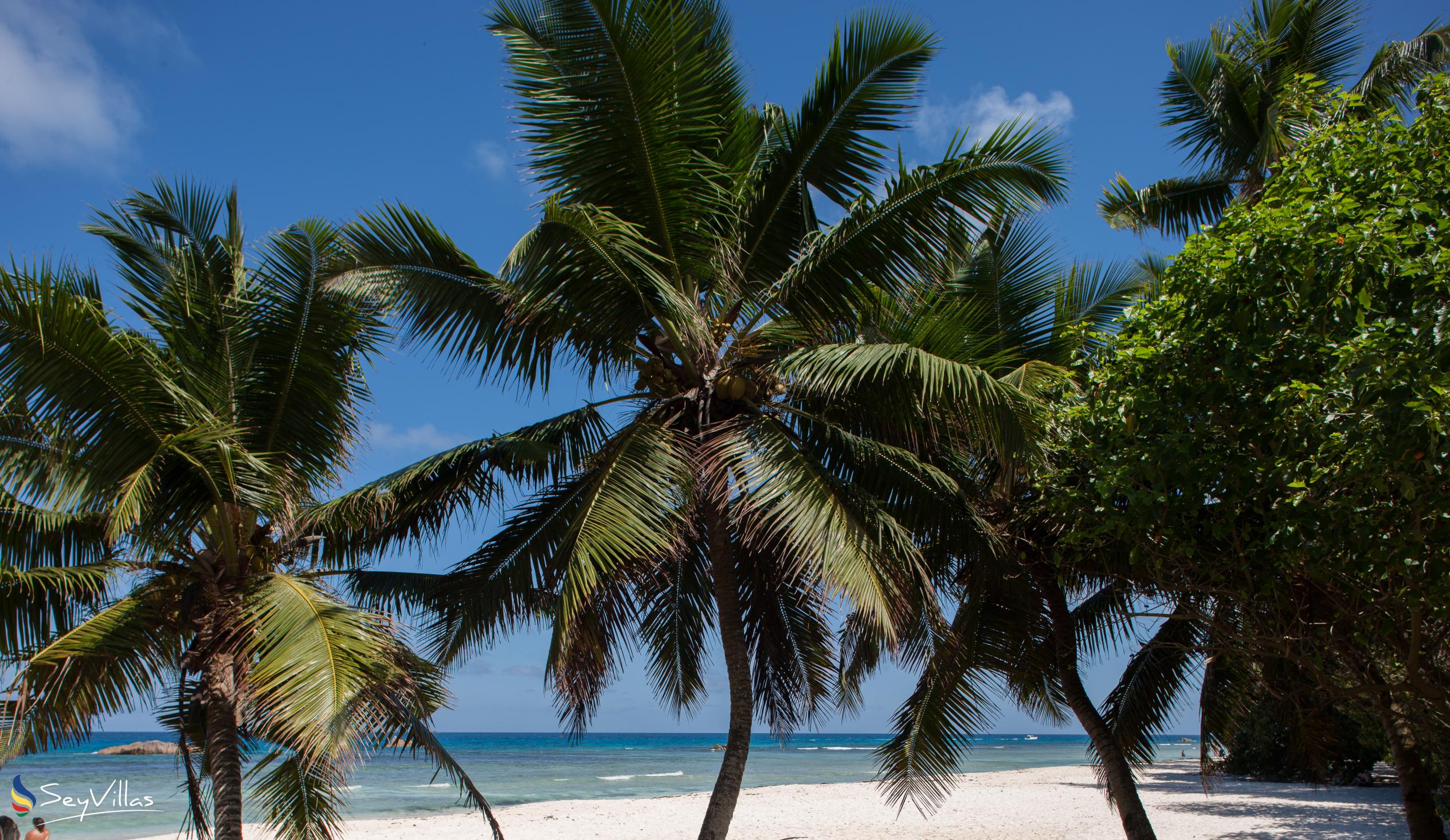 Photo 38: O'Soleil Chalets - Beaches - La Digue (Seychelles)