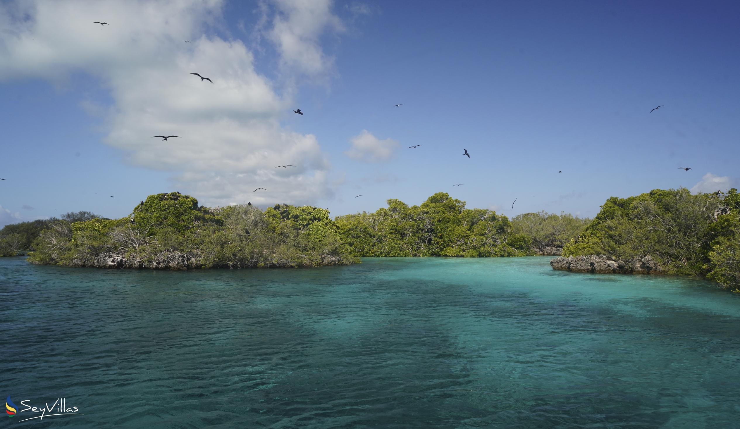 Foto 8: Silhouette Aldabra Expeditions MV Maya's Dugong - Aussenbereich - Seychellen (Seychellen)