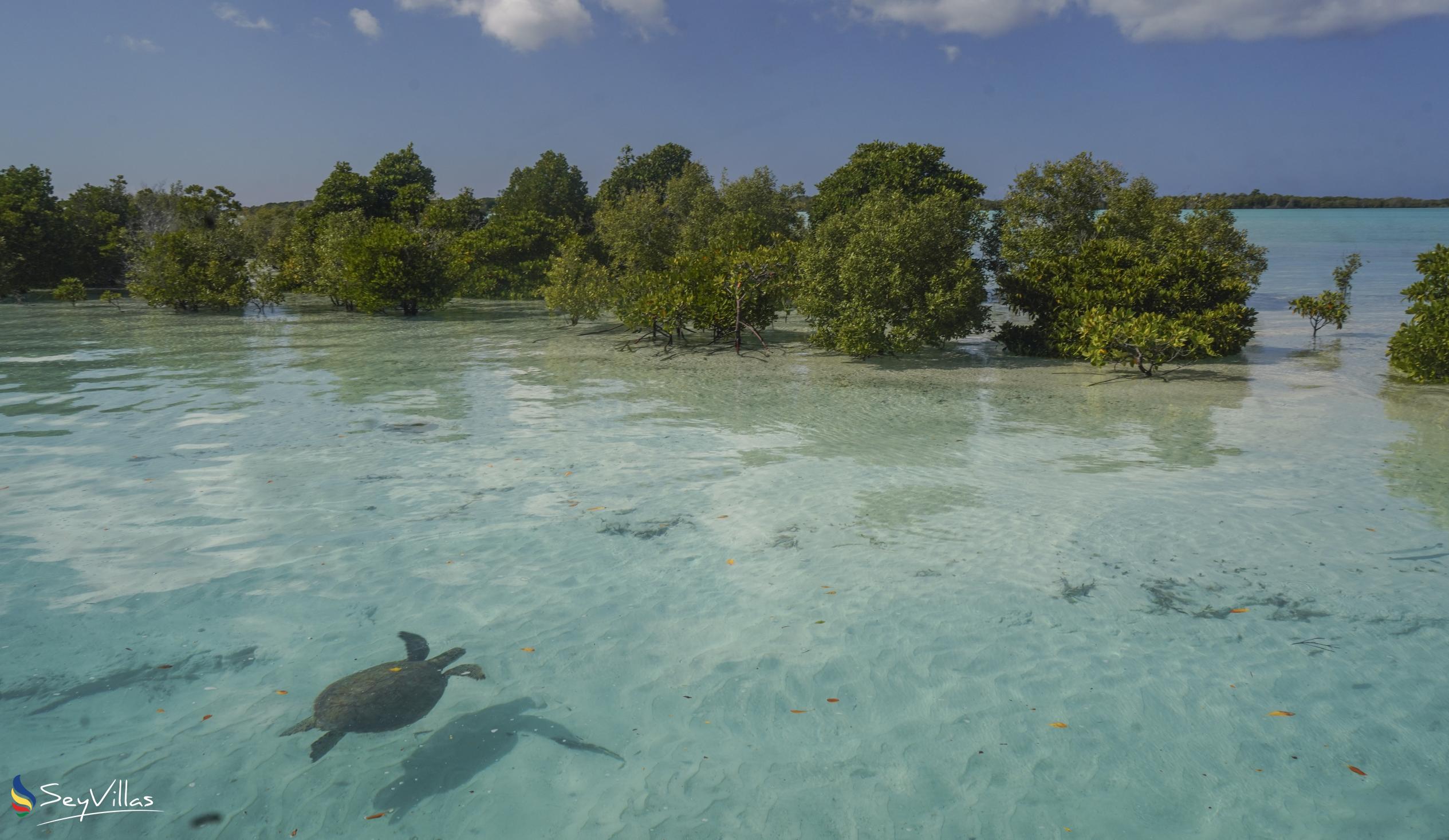 Foto 10: Silhouette Aldabra Expeditions MV Maya's Dugong - Aussenbereich - Seychellen (Seychellen)